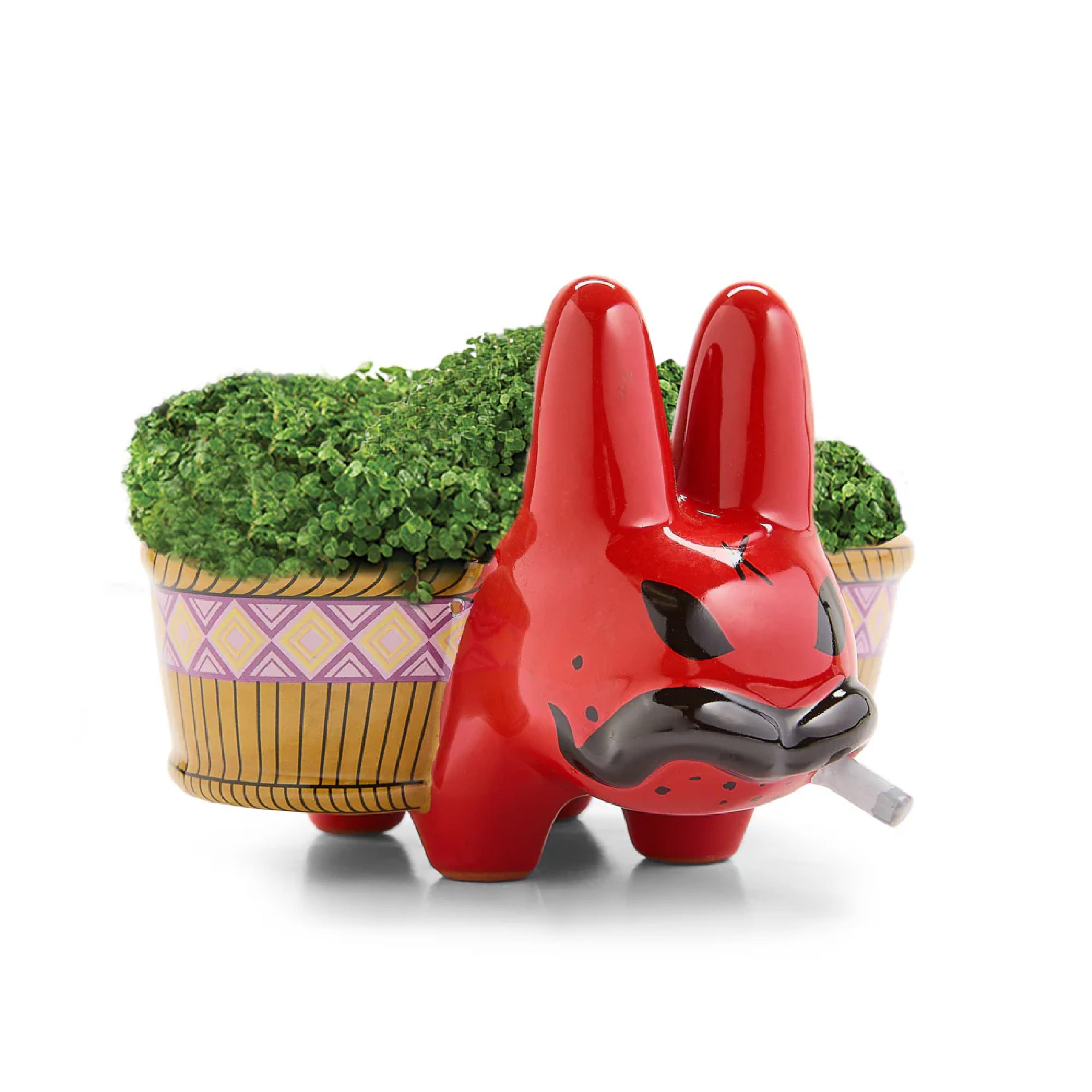 Smorkin' Labbit Chia Pet – Red Edition by Kidrobot – The Wynwood