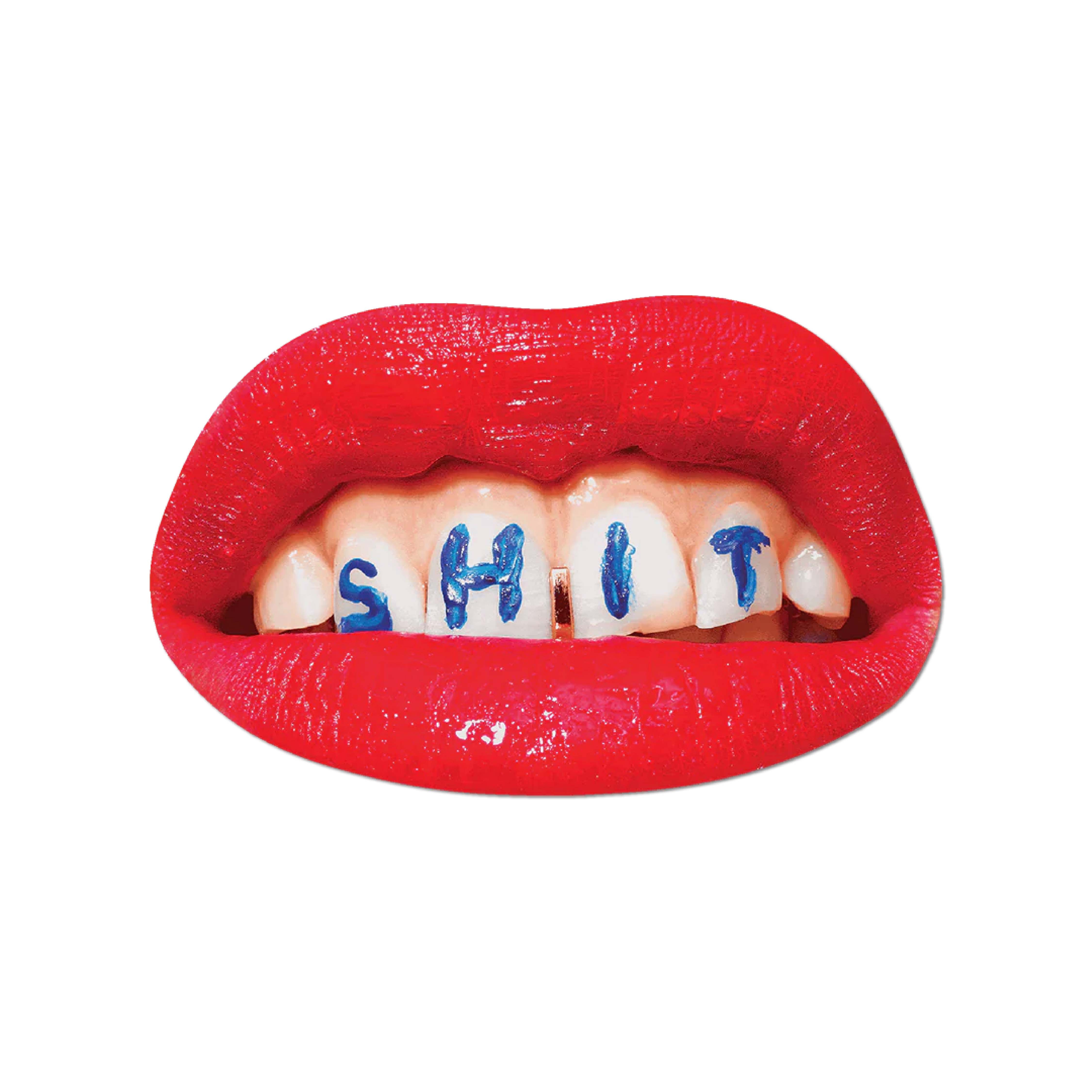 Shit Sticker Main image