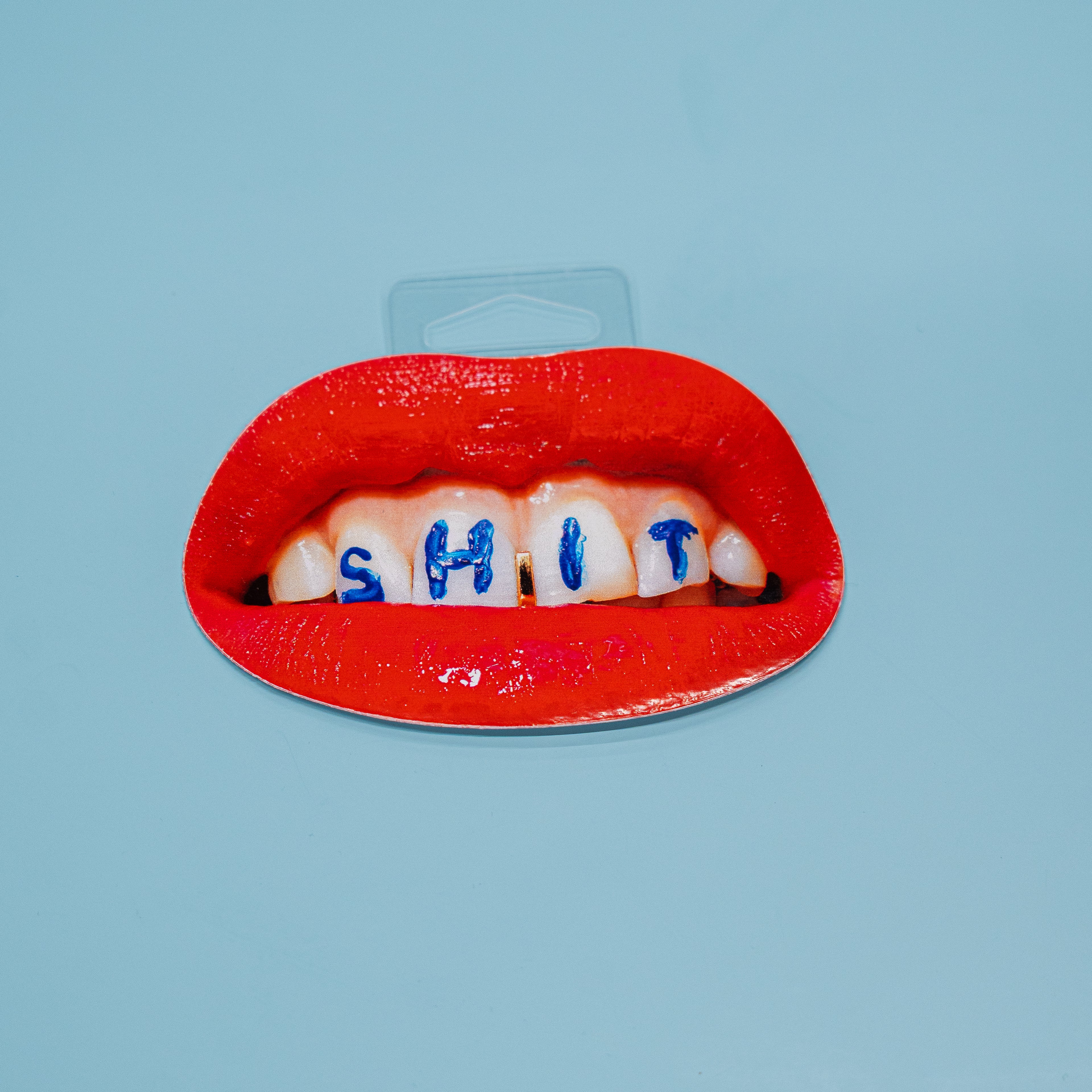 Shit Sticker