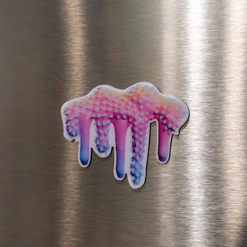 Dan Lam PEACOCK Magnet