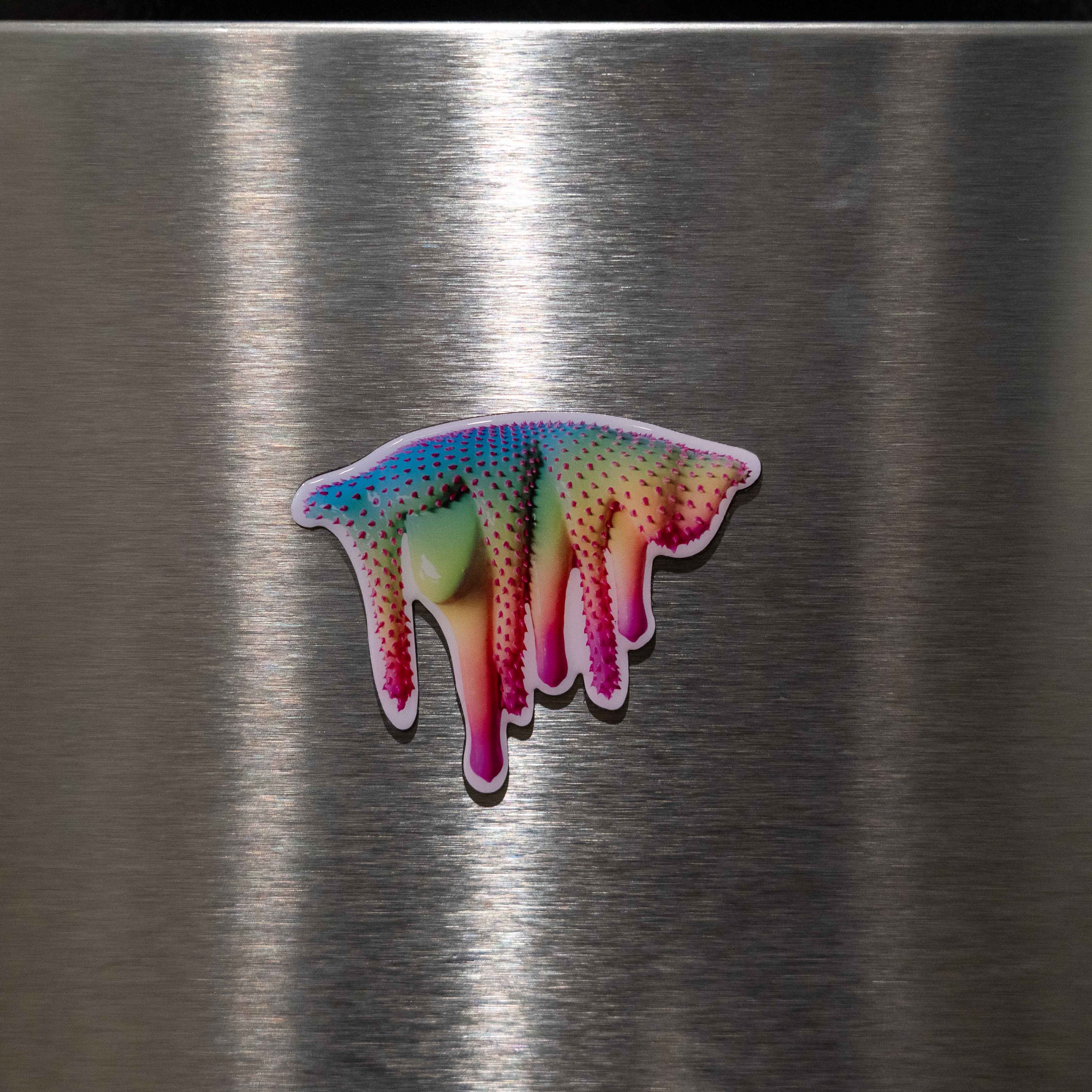 Dan Lam PICKY Magnet