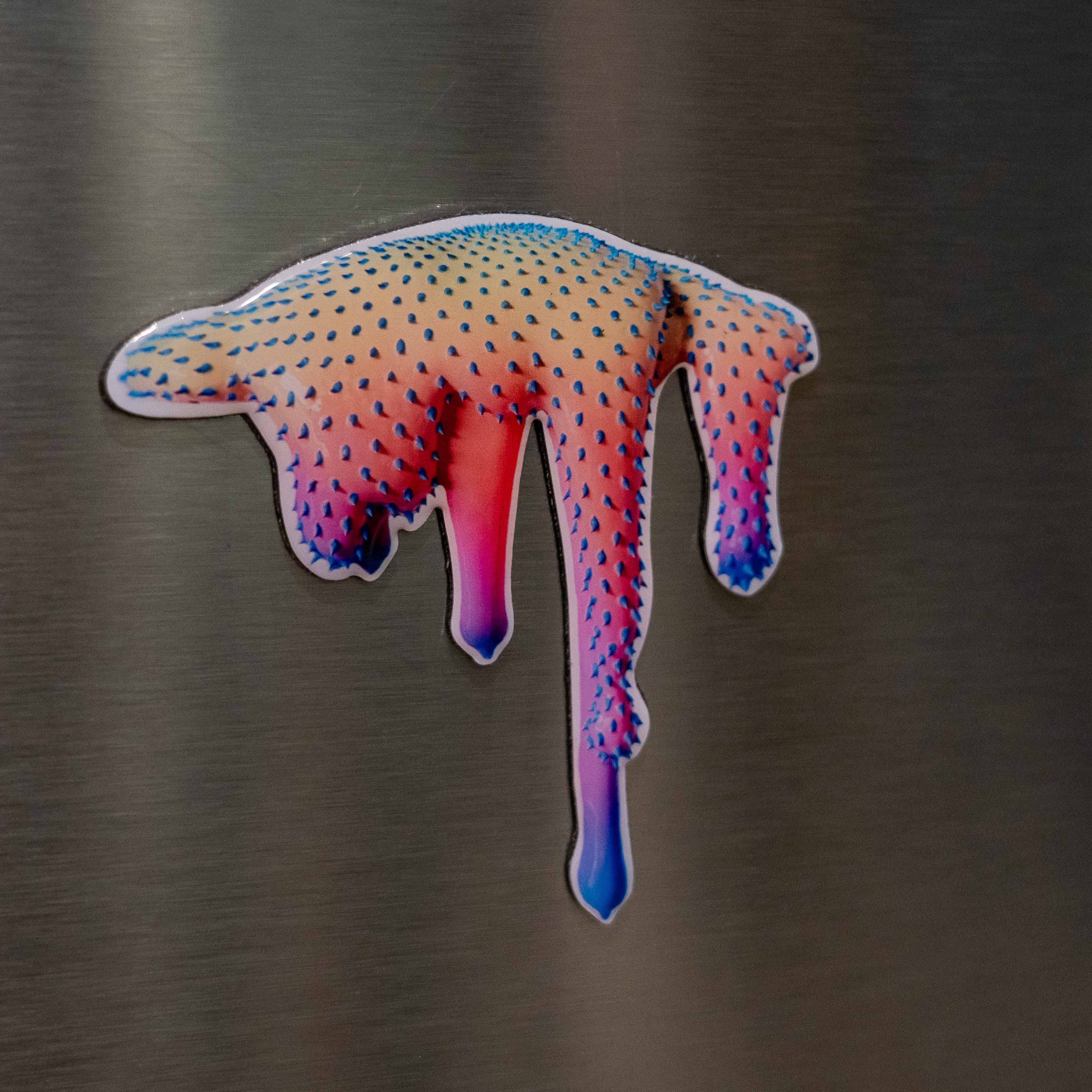 Dan Lam PLEASED Magnet