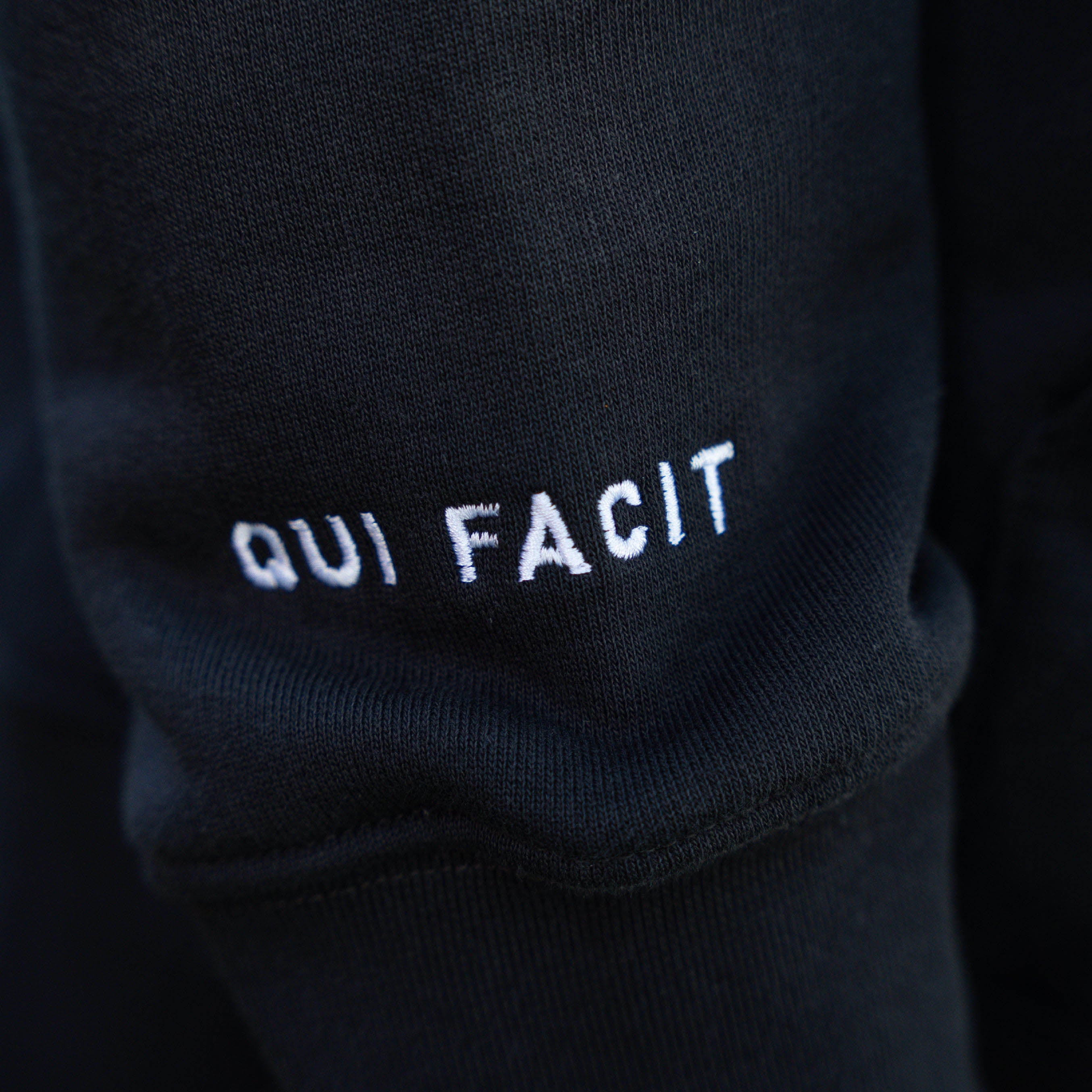 Digital Does QFC1 Hoodie