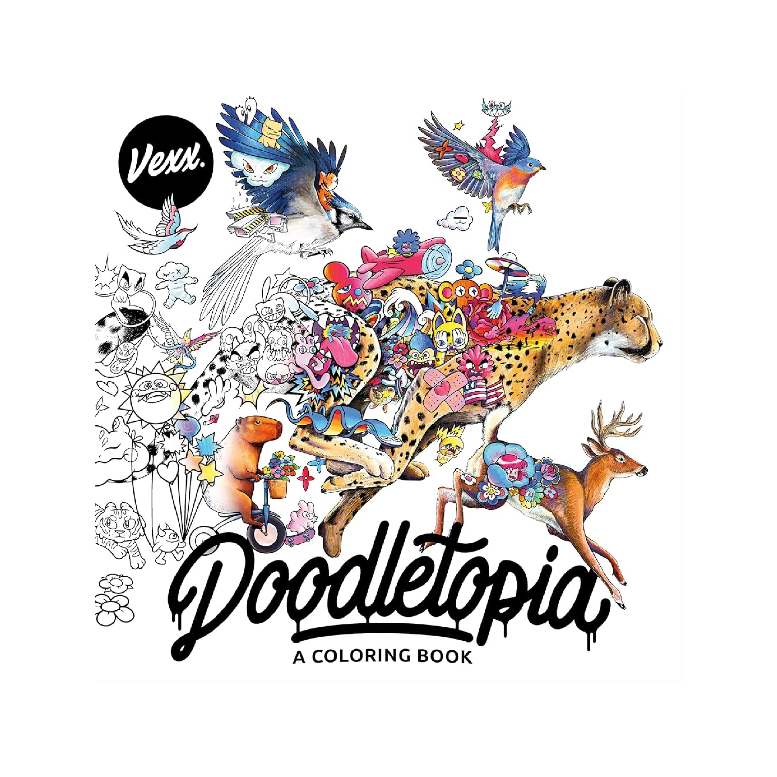 Doodletopia: A Coloring Book Main image