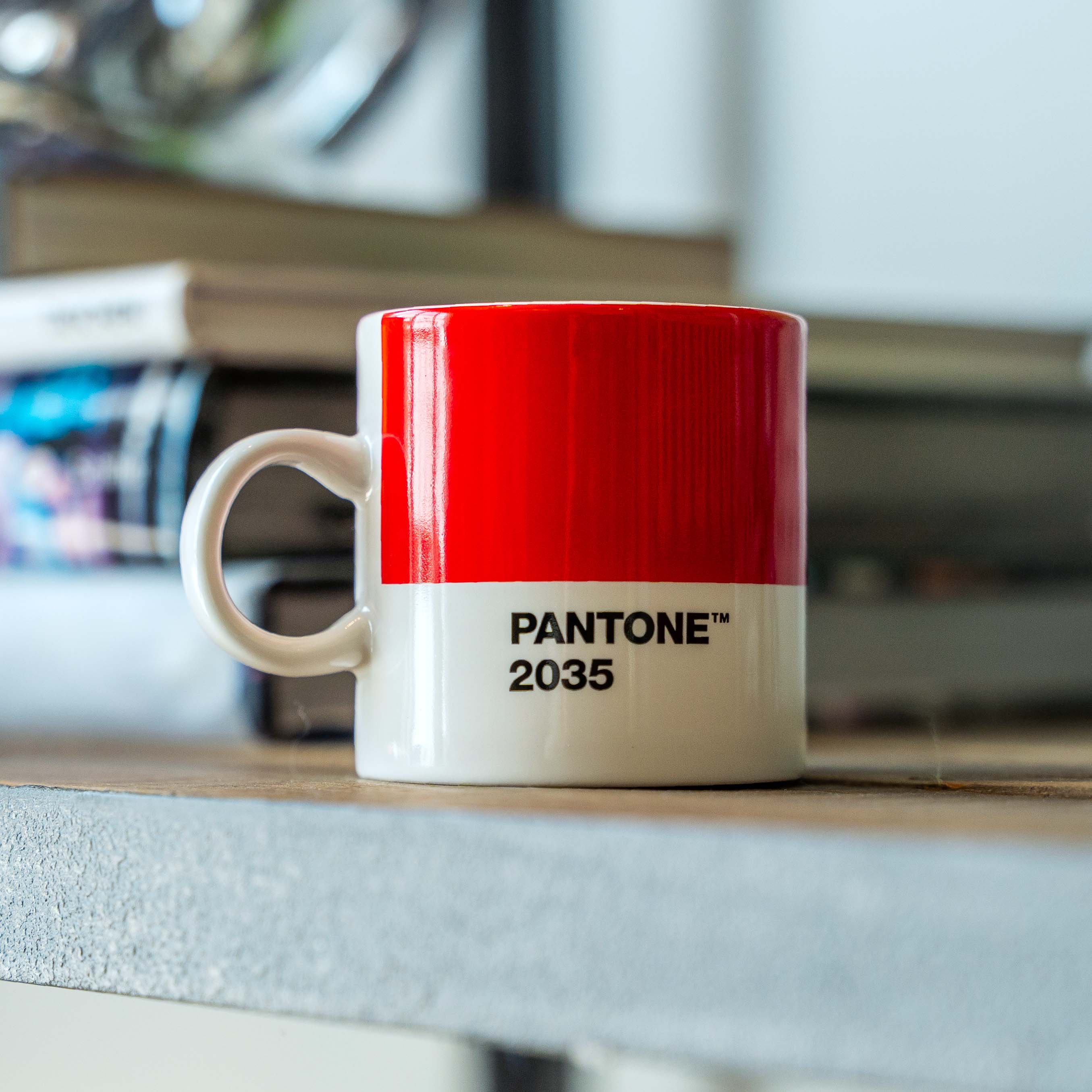 PANTONE Espresso Cup Red 2035