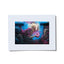 Miss Birdy Matted Print 2025