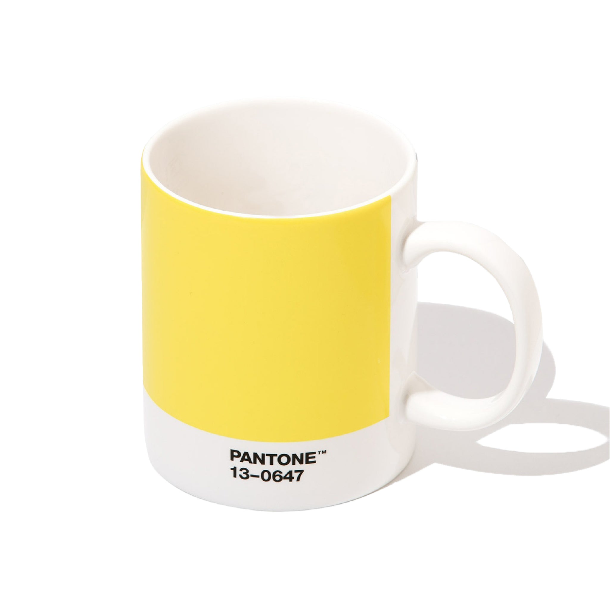 PANTONE Mug Ultimate Gray 17-5104