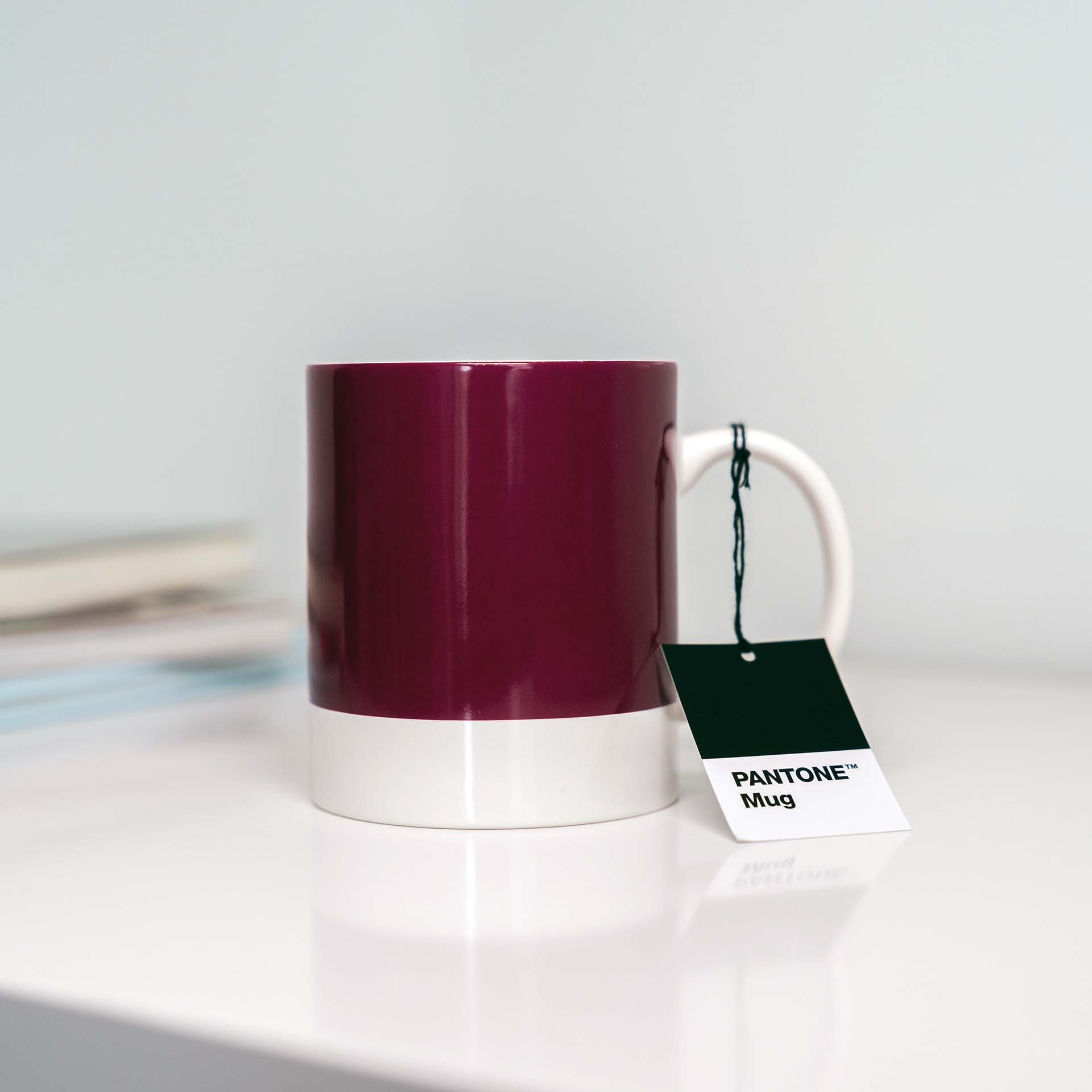 PANTONE Mug Aubergine 229