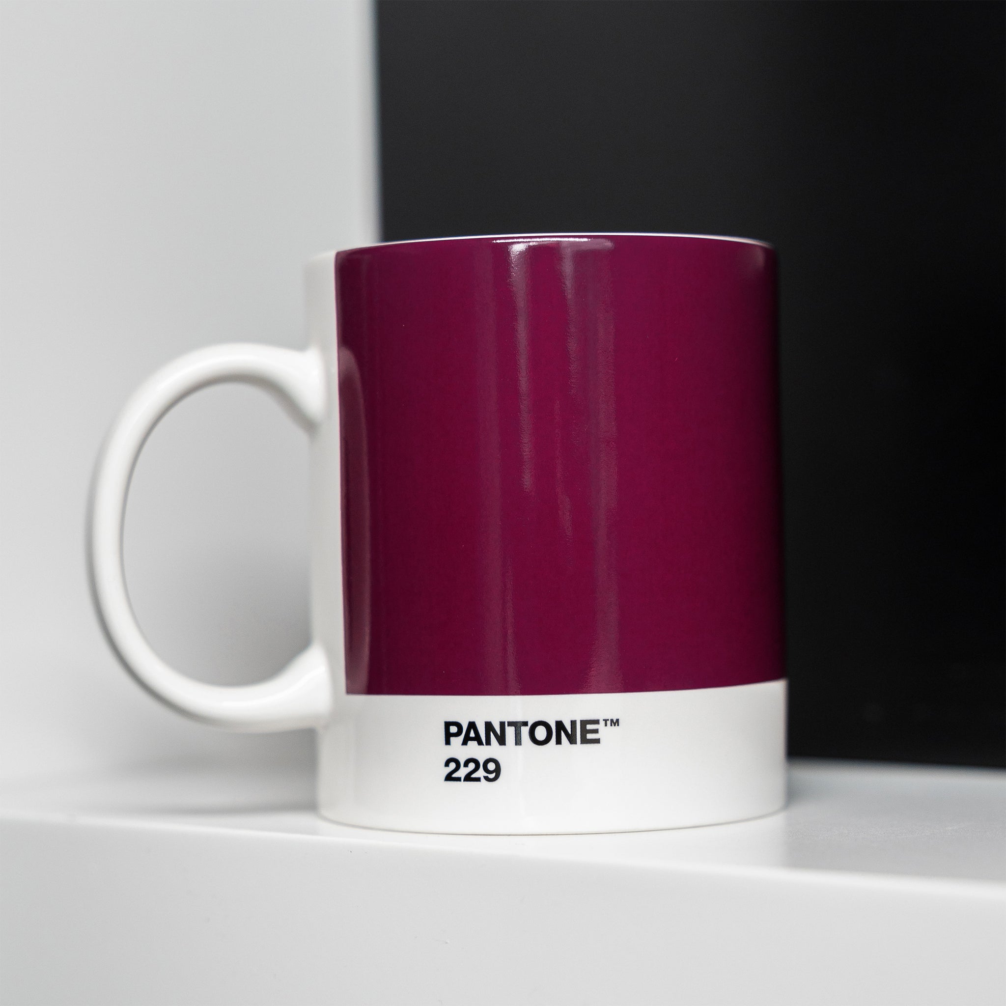 PANTONE Mug Aubergine 229