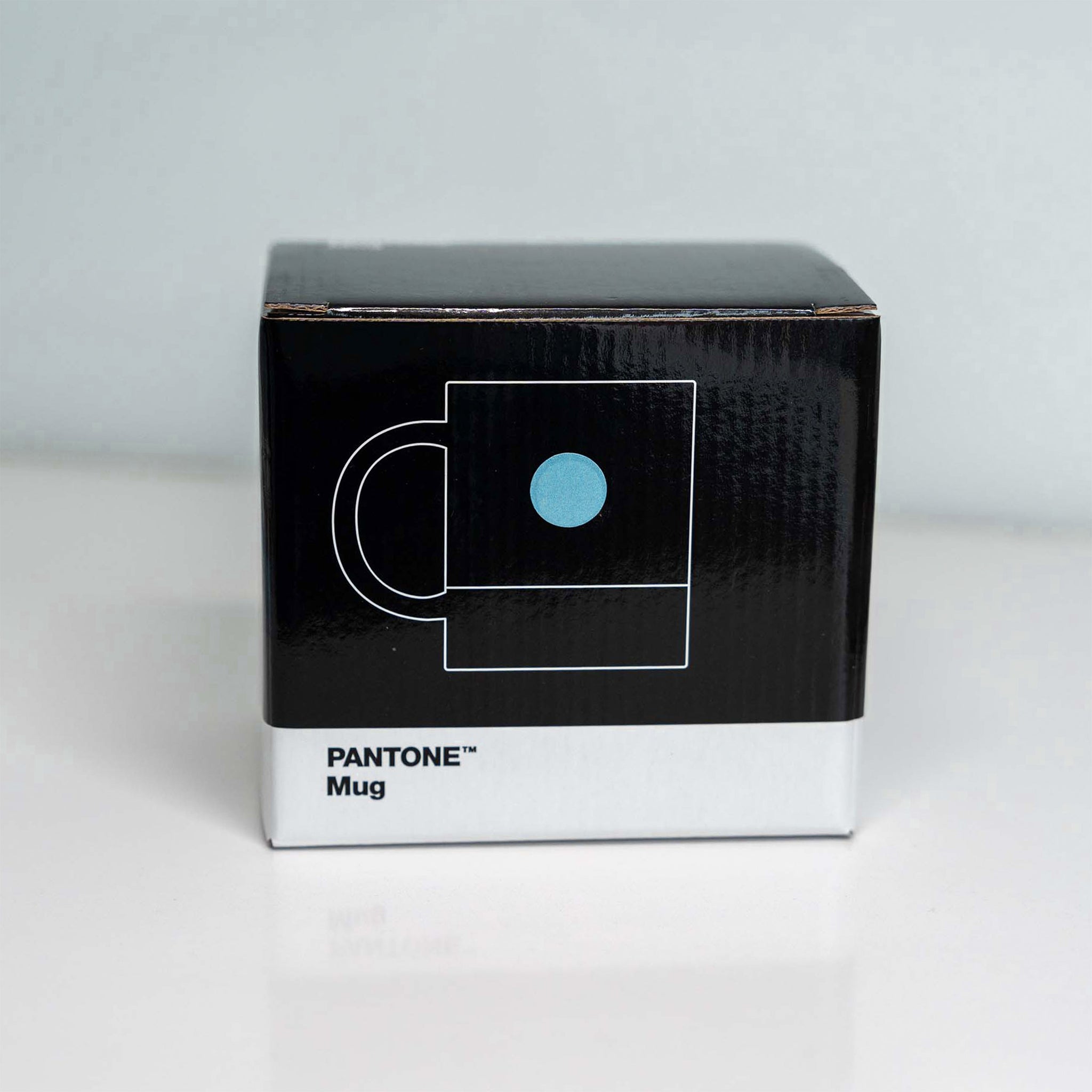 PANTONE Mug Light Blue 550