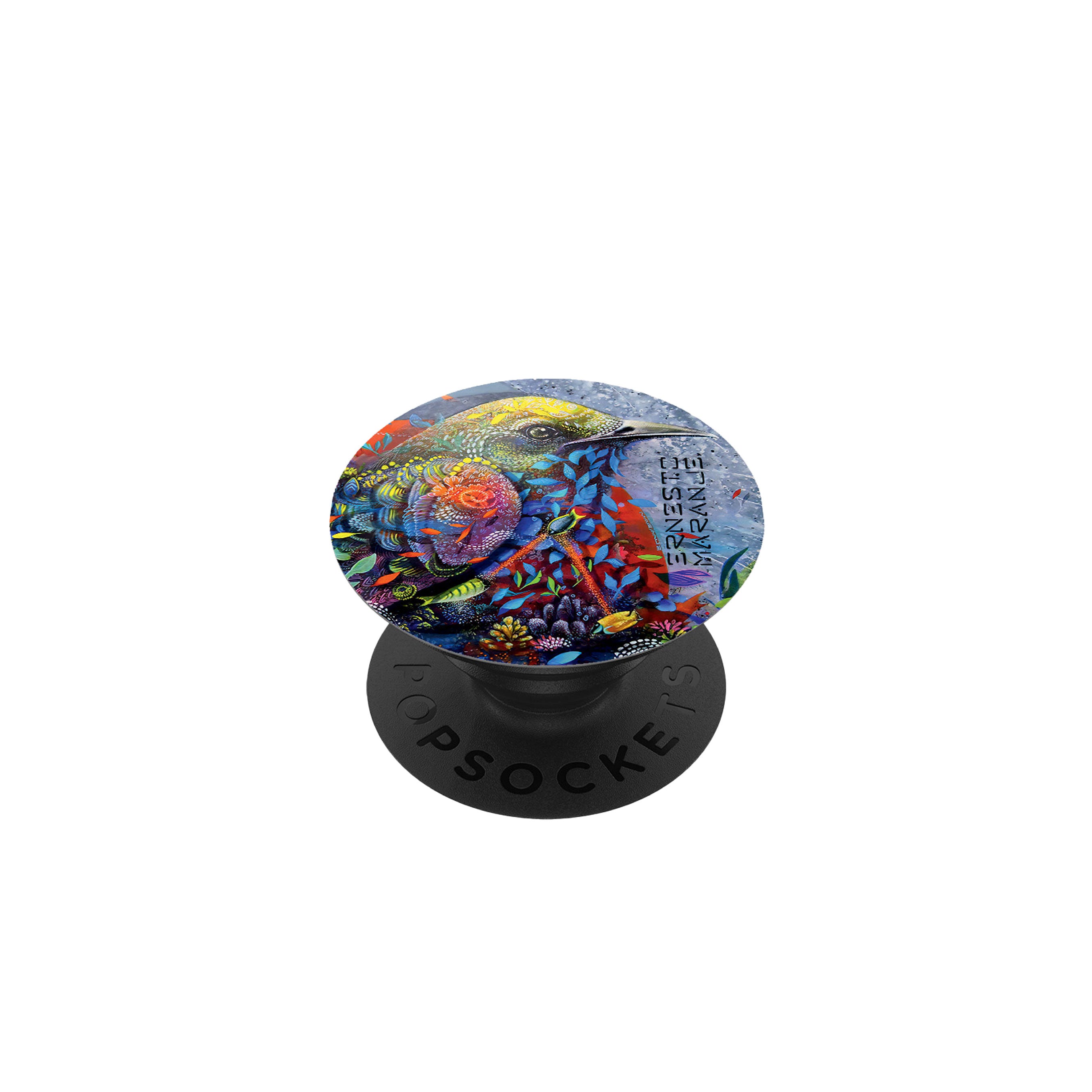 Ernesto Maranje  BIRD  PopGrip Main image