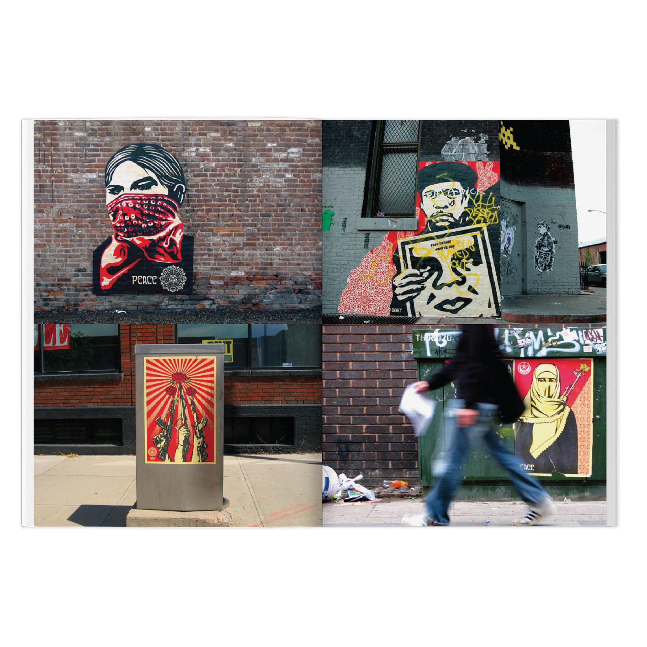 Shepard Fairey Weathered