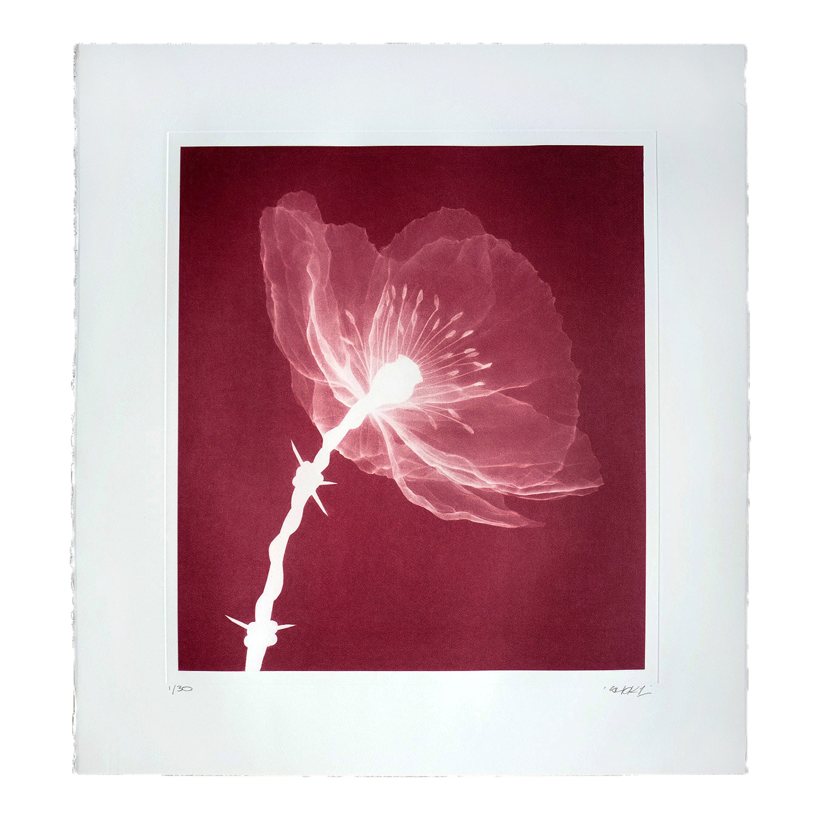 SHOK-1 Masterpeace Red