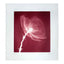 SHOK-1 Masterpeace Red