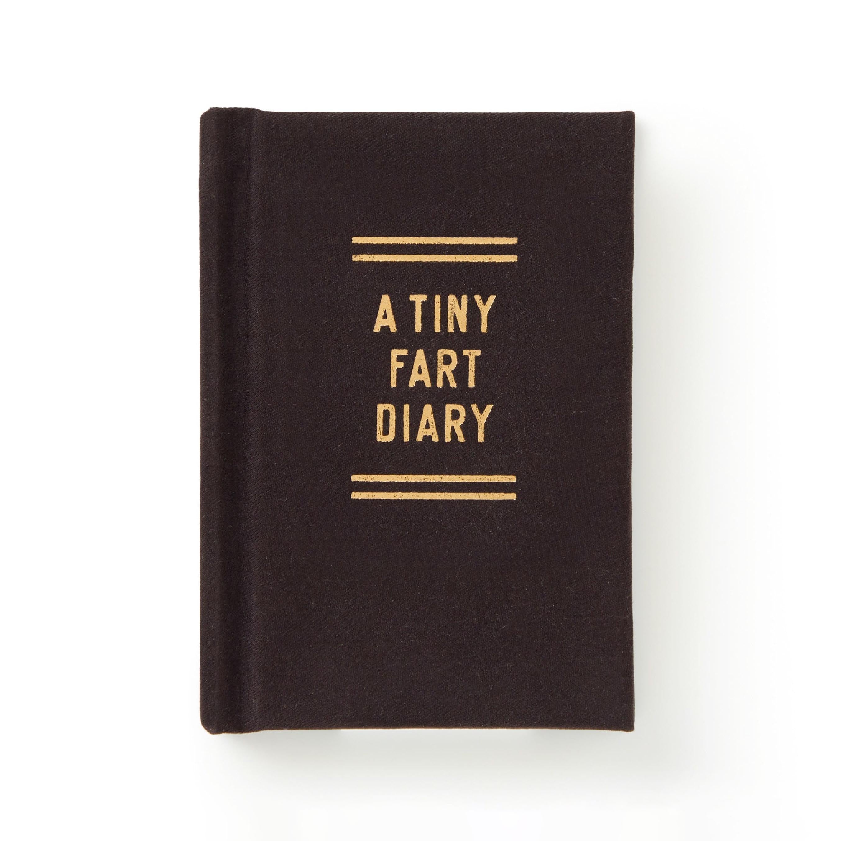 Tiny Diary Fart Main image