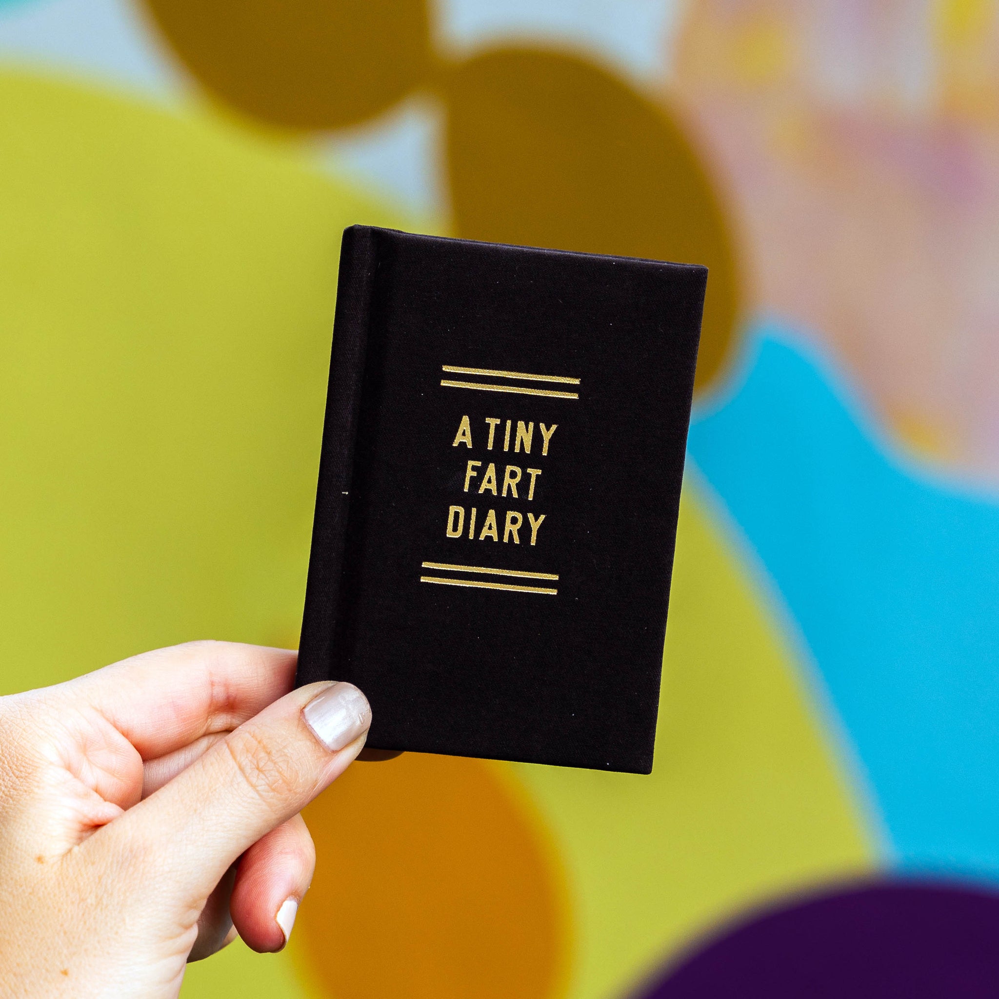 Tiny Diary Fart