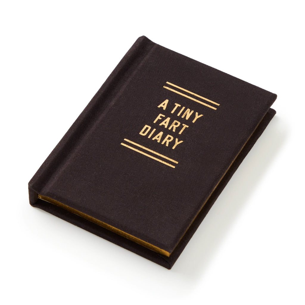 Tiny Diary Fart