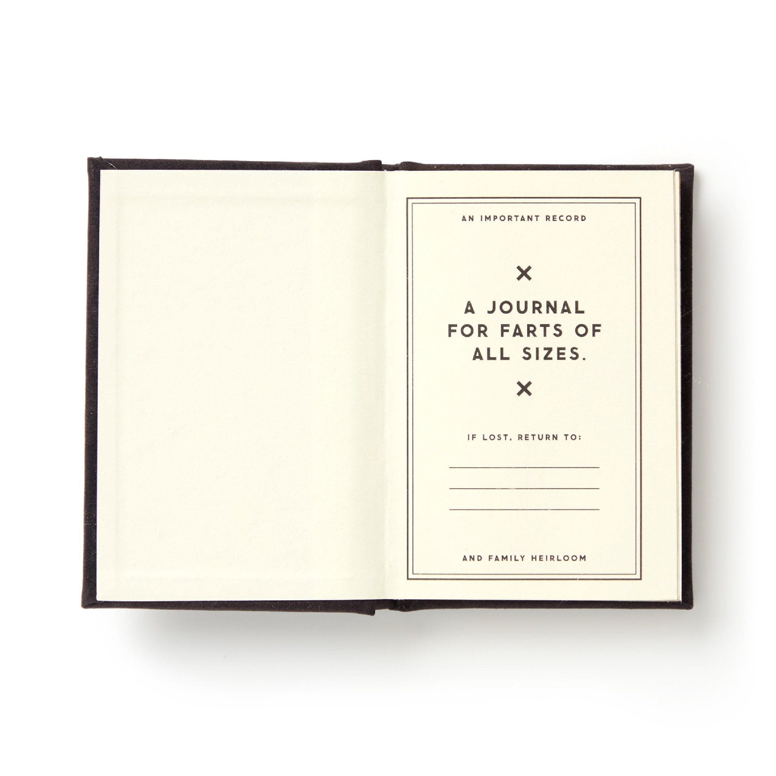 Tiny Diary Fart