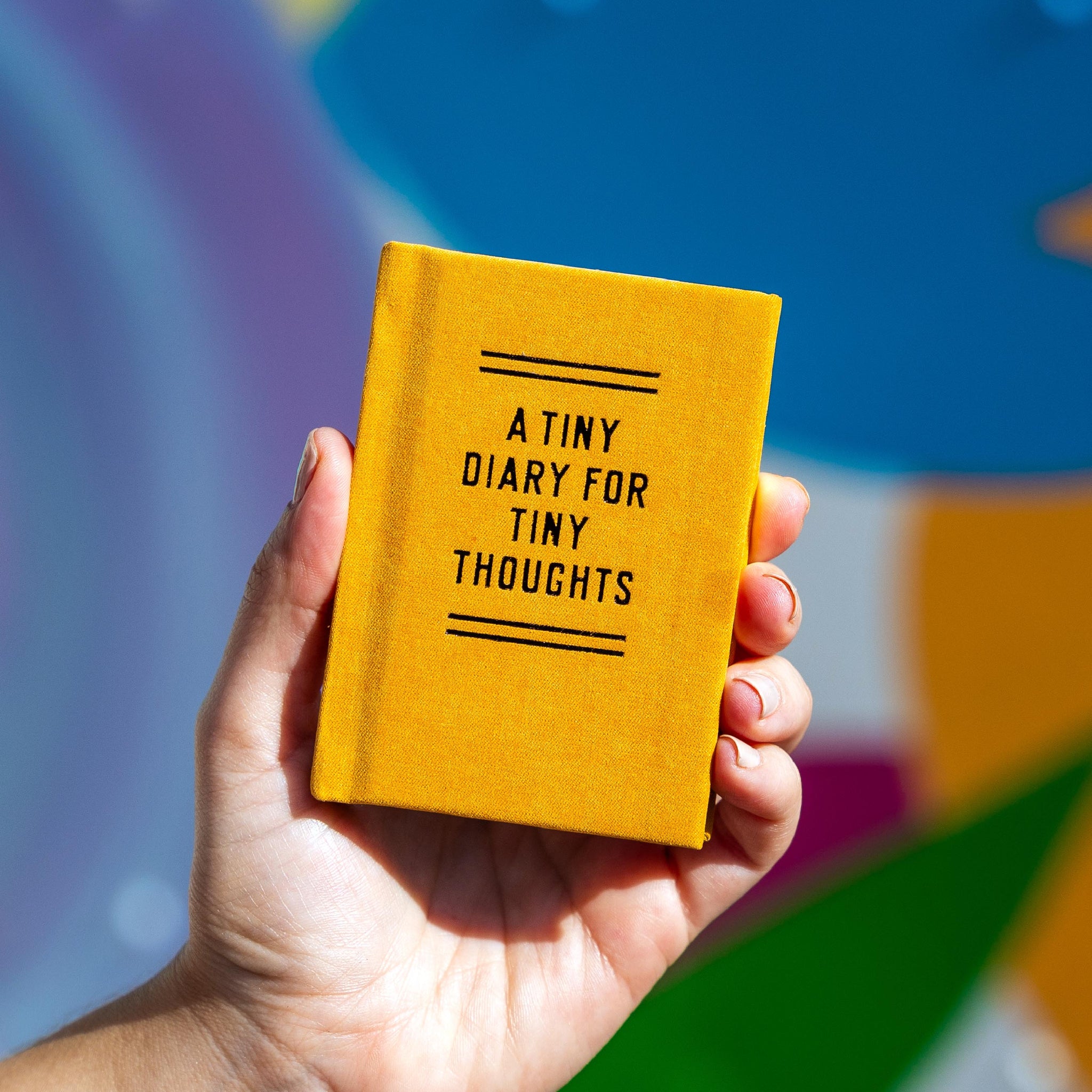 A Tiny Diary for Tiny Thoughts