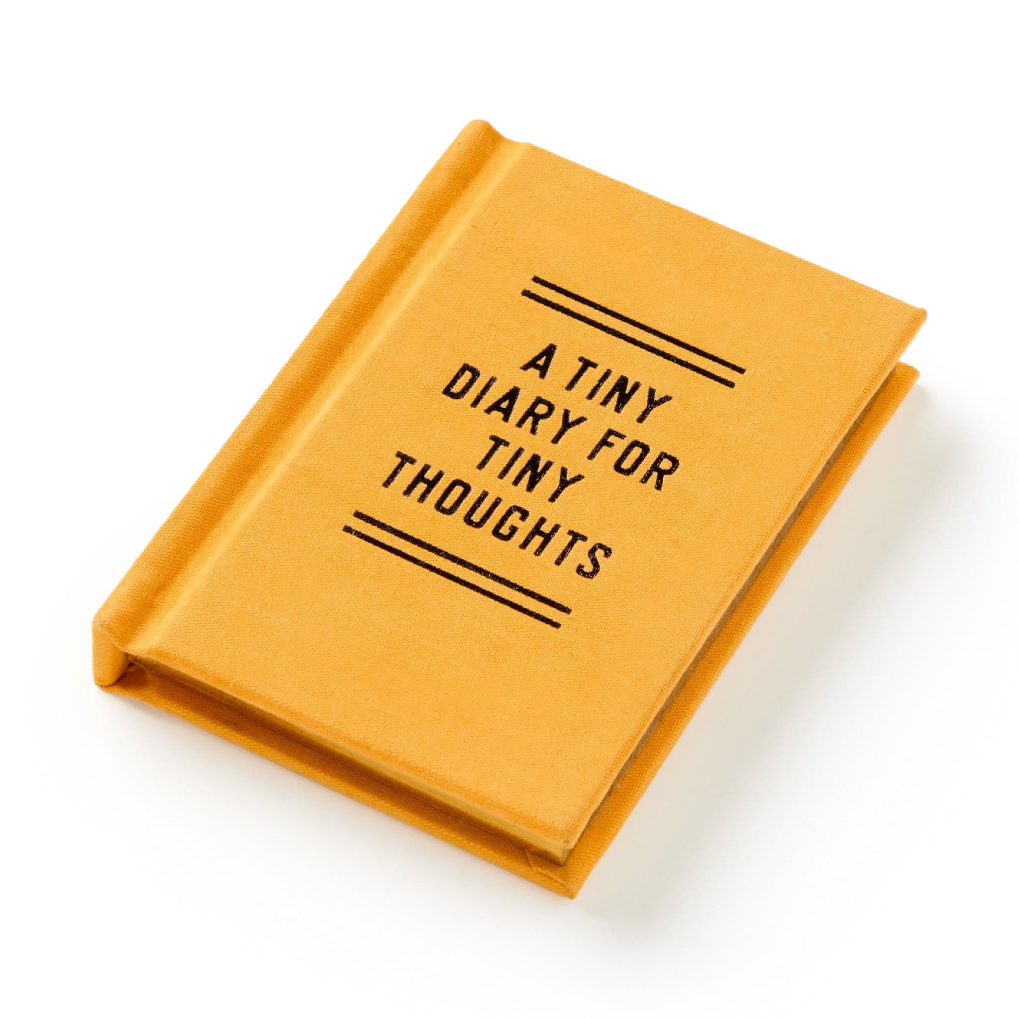 A Tiny Diary for Tiny Thoughts