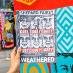 Shepard Fairey Weathered