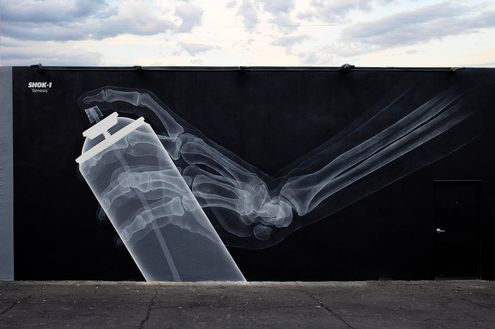 SHOK-1