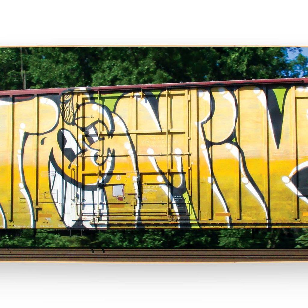 Atomik "Wholecar" Skate Deck - Wynwood Walls Shop