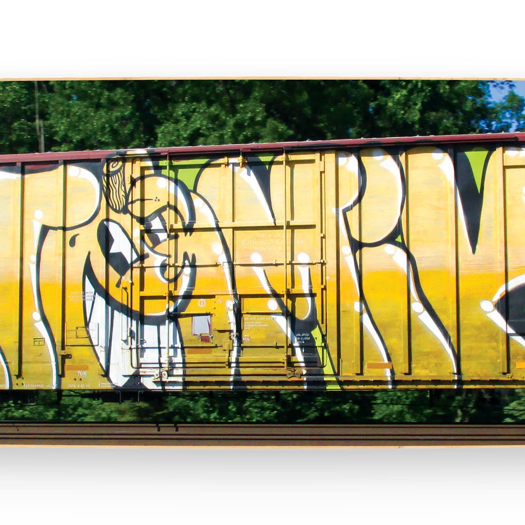 Atomik "Wholecar" Skate Deck - Wynwood Walls Shop