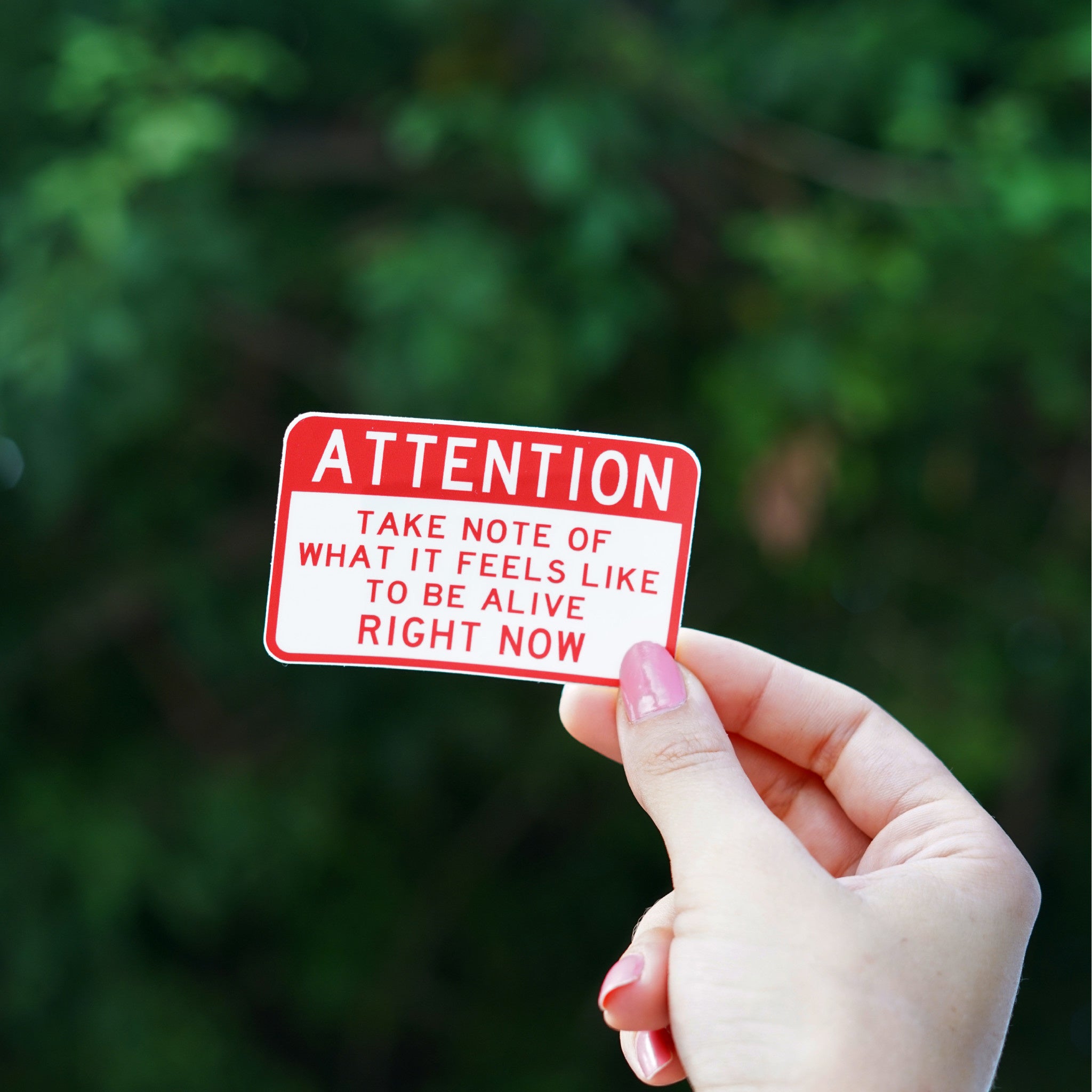 Scott Froschauer Attention: Alive Sticker - Wynwood Walls Shop
