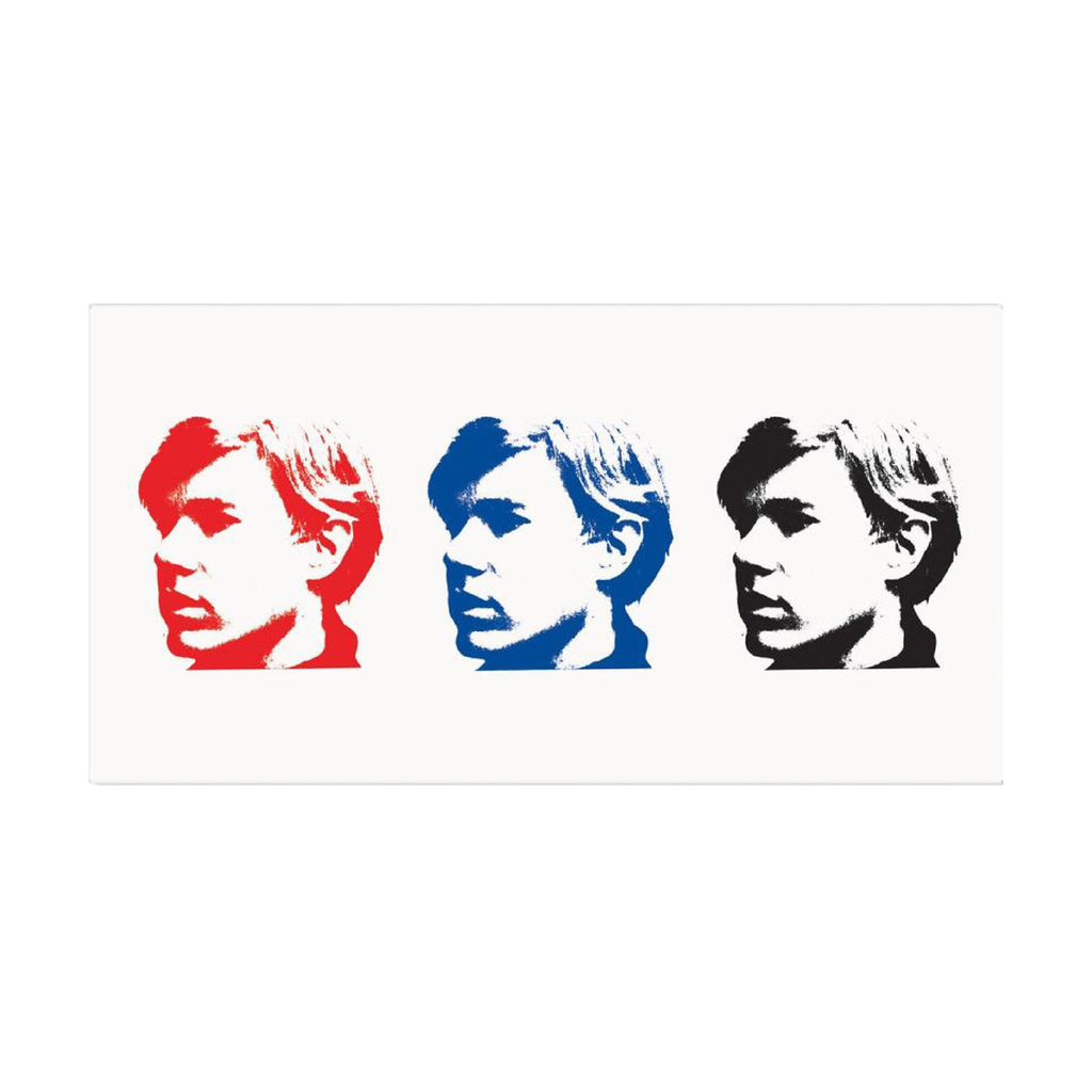 Andy Warhol Temporary Tattoo - Wynwood Walls Shop