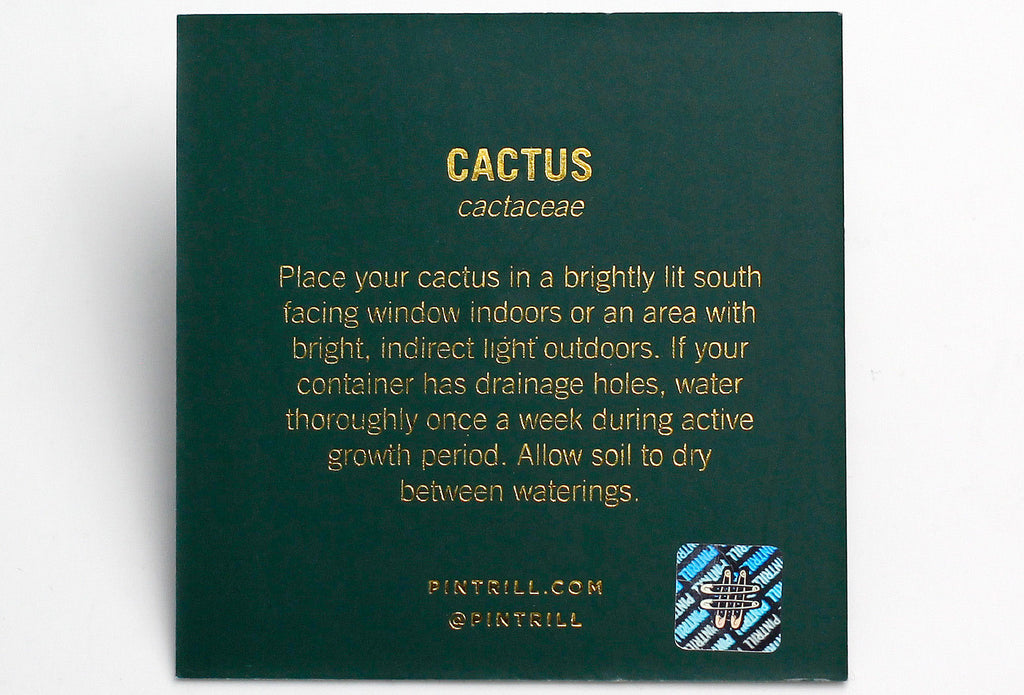 Plant Series - Cactus Pin - Wynwood Walls Shop