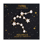 Constellations - Aquarius Pin - Wynwood Walls Shop