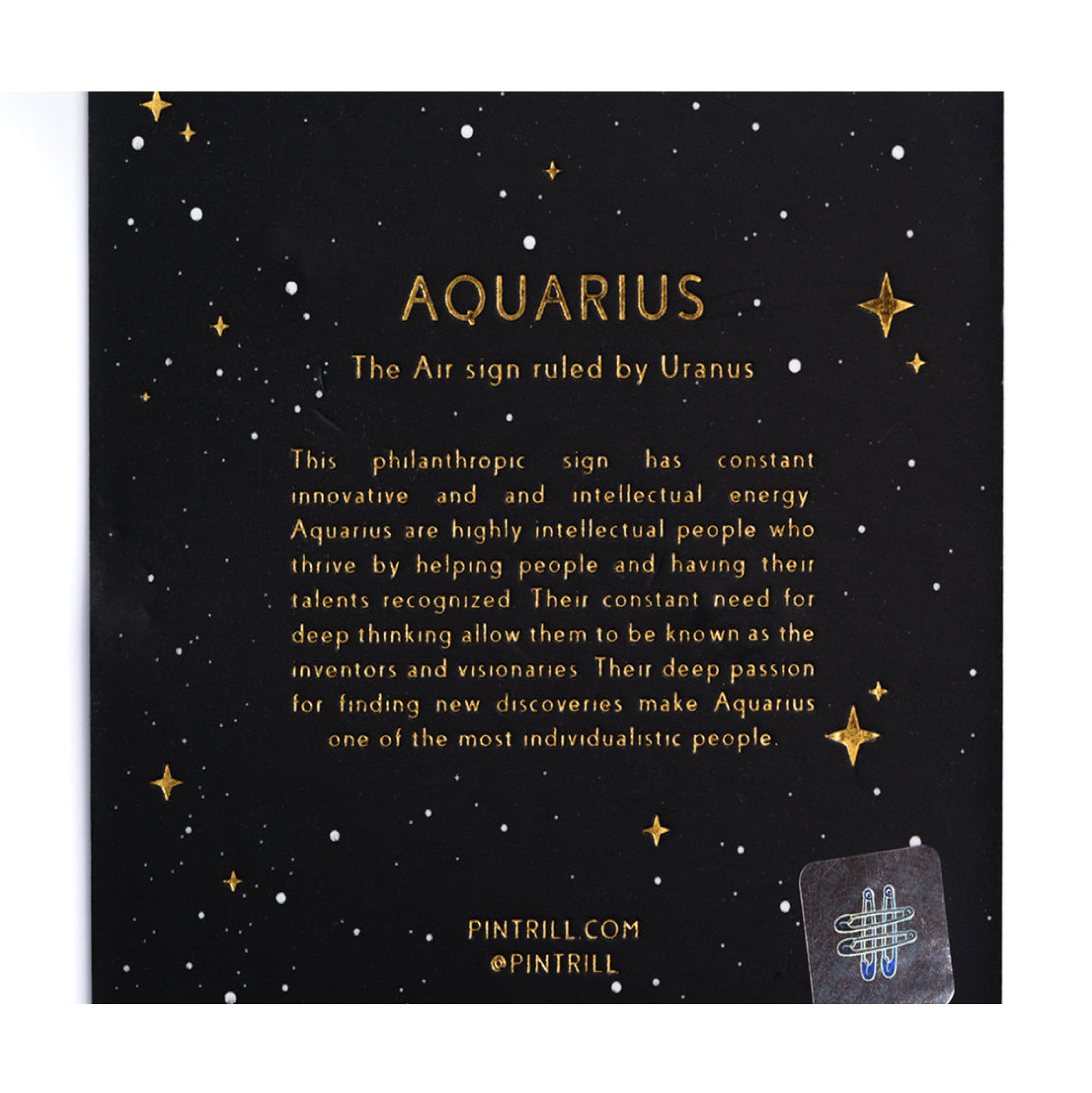 Constellations - Aquarius Pin - Wynwood Walls Shop