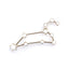 Constellations - Leo Pin - Wynwood Walls Shop