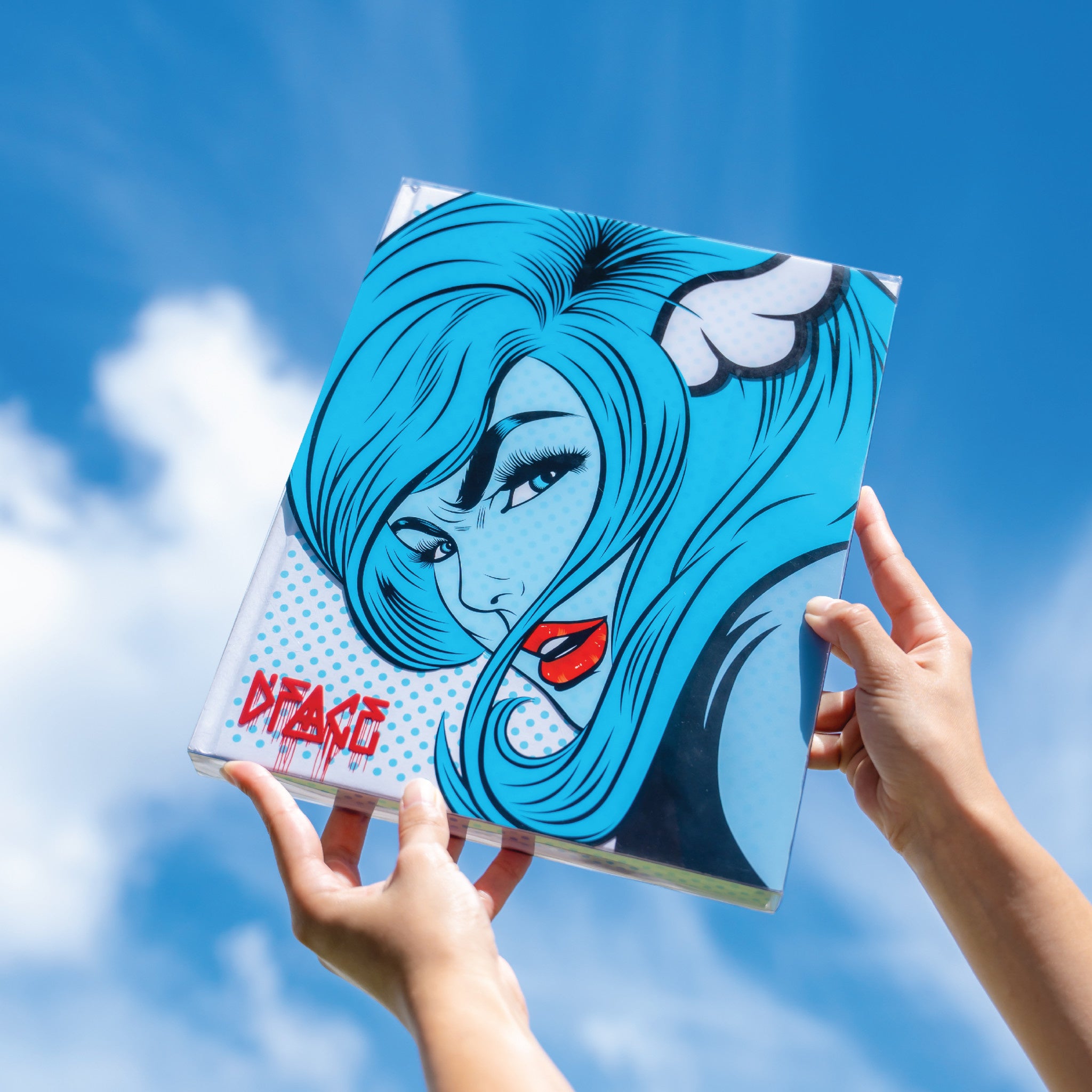 D*FACE Book - Wynwood Walls Shop