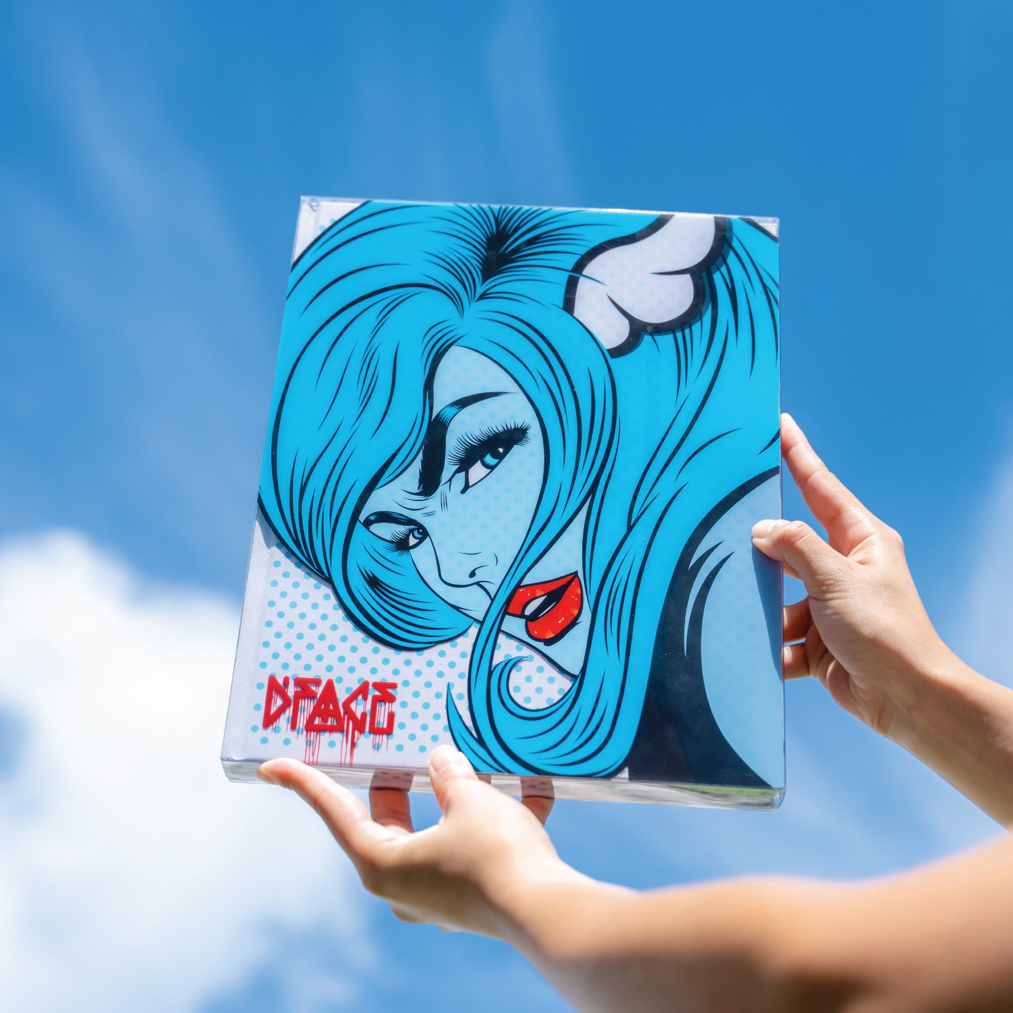 D*FACE Book - Wynwood Walls Shop