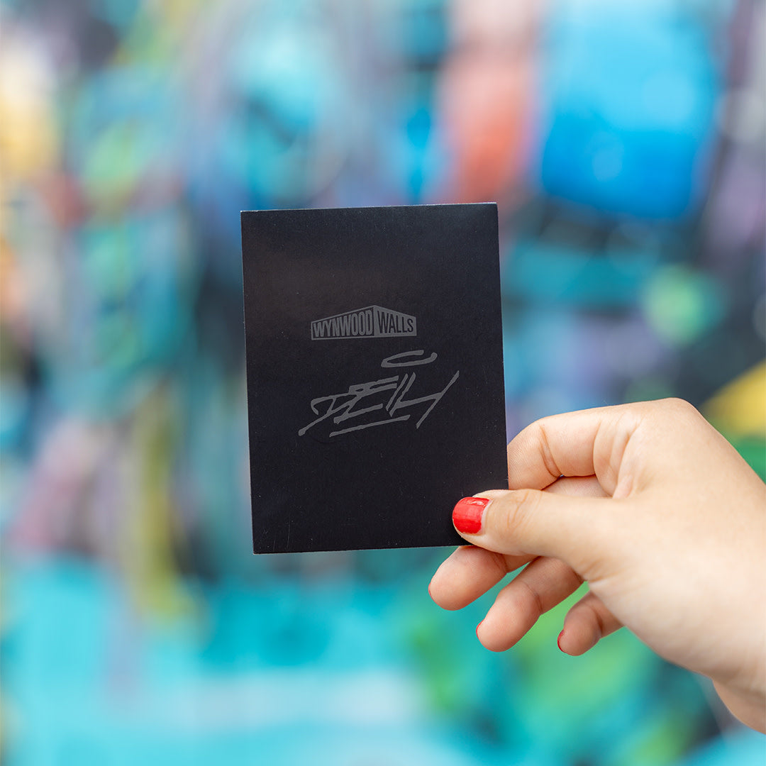 Deih Capsules Magnet - Wynwood Walls Shop