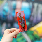 Deih Bruja Magnet - Wynwood Walls Shop