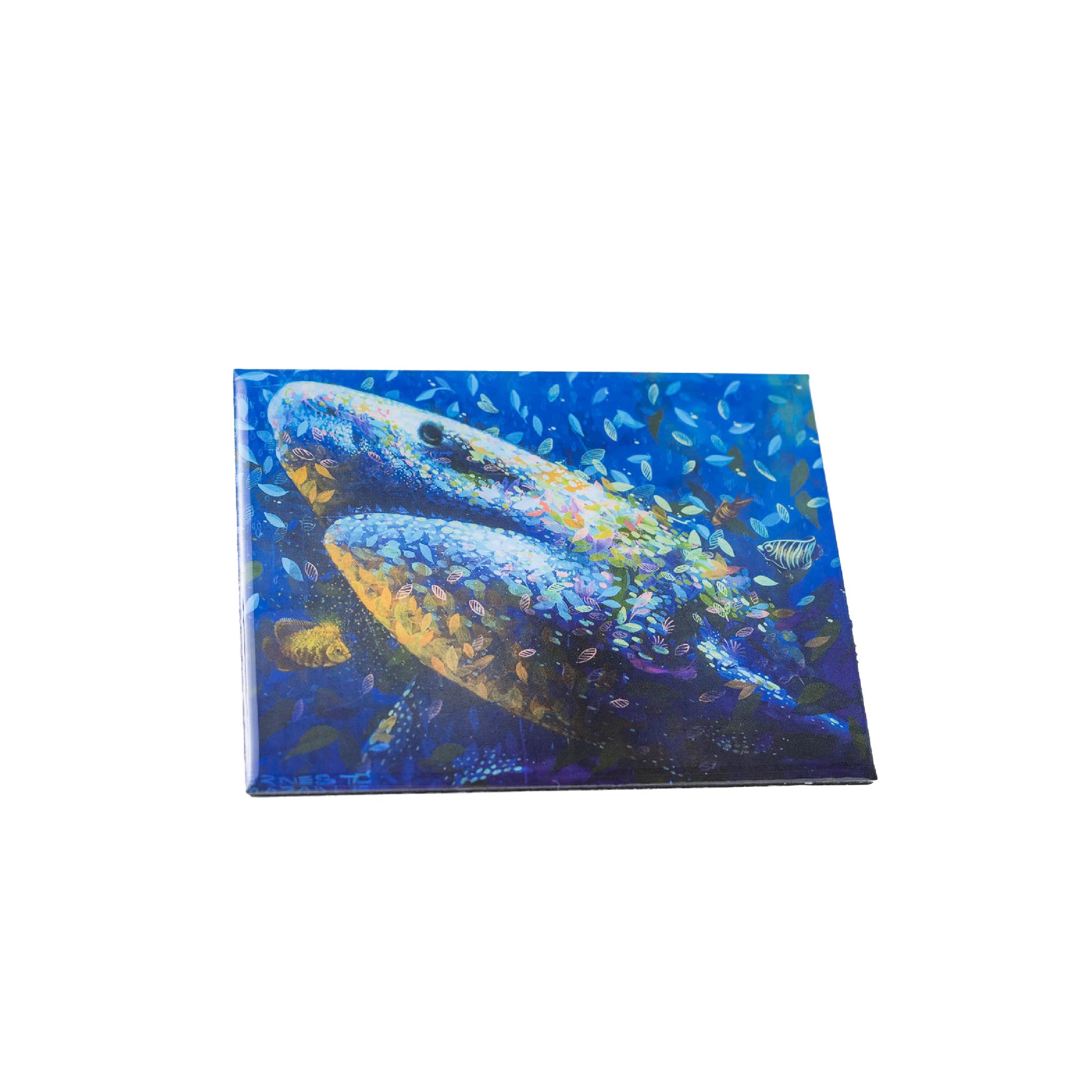 Ernesto Maranje Shark Magnet - Wynwood Walls Shop Main image