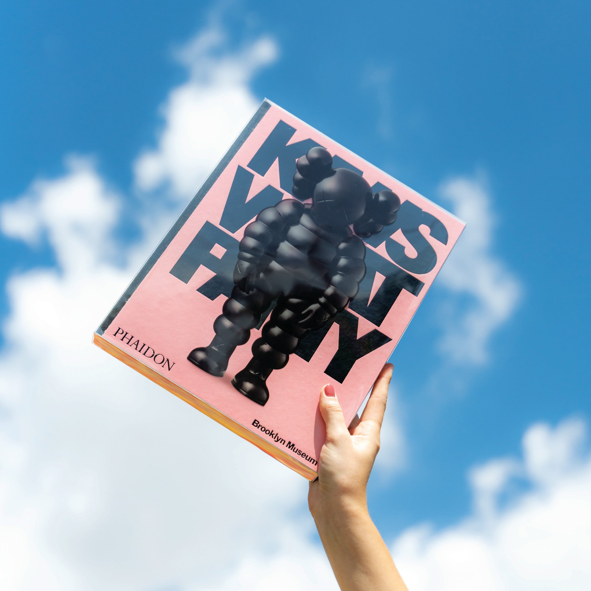 Kaws: What Party (Black on Pink)
