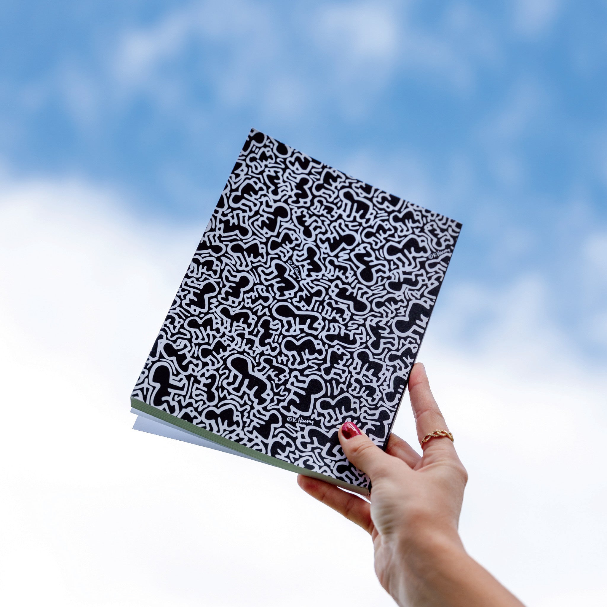 Keith Haring Green Journal - Wynwood Walls Shop