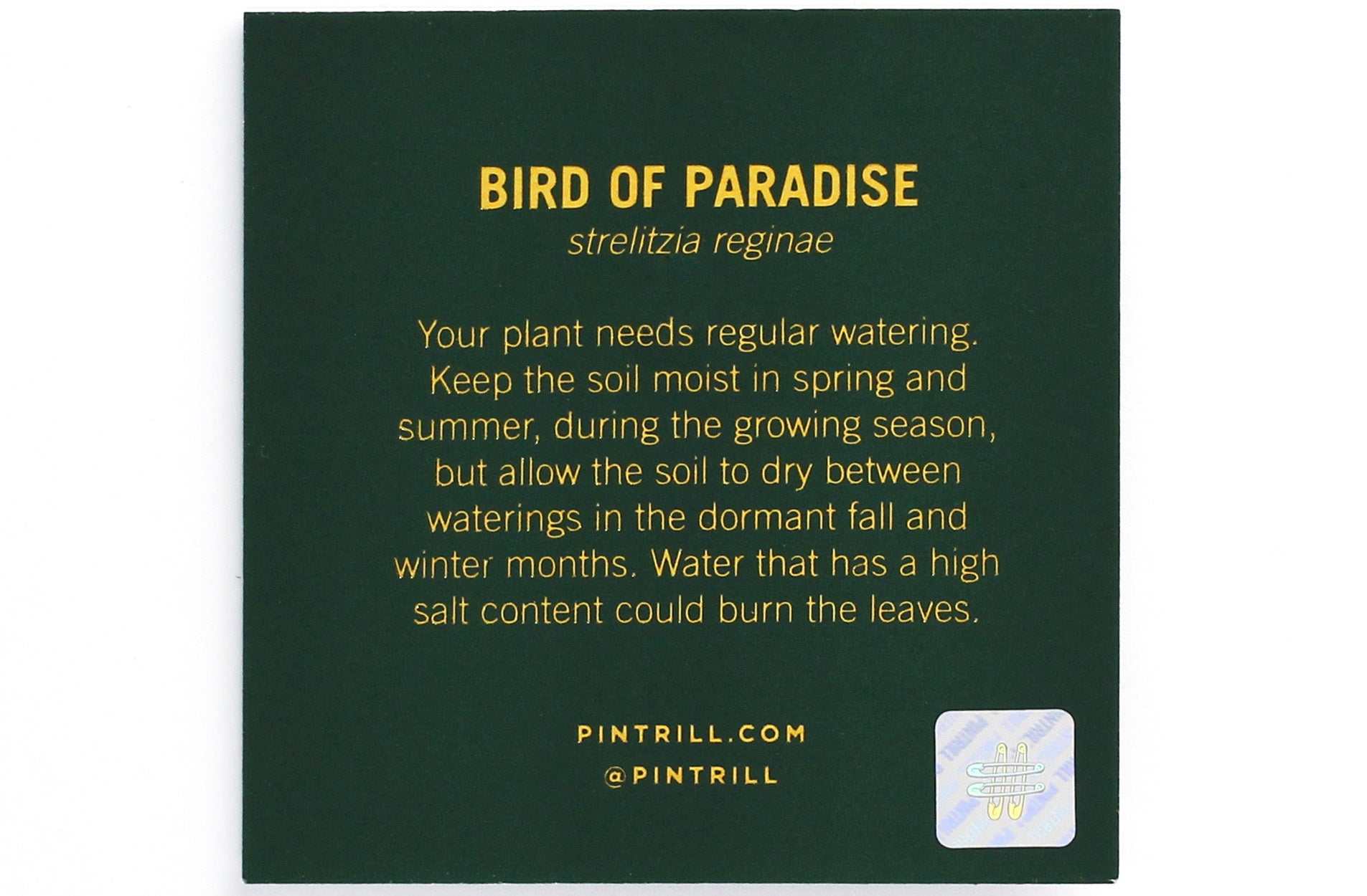 Flower Series BIRDS OF PARADISE Pin
