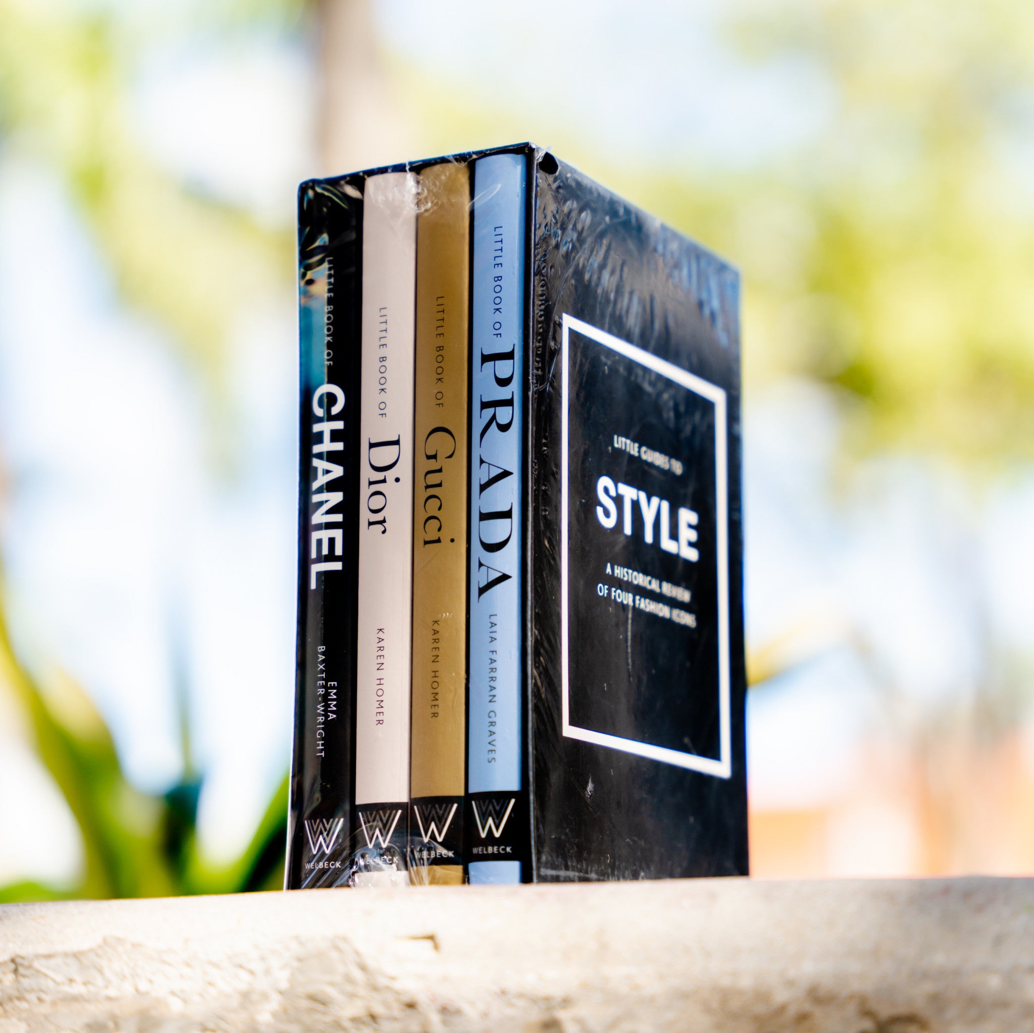 Little Guides to Style: The Story of Four Iconic Fashion Houses [Book]