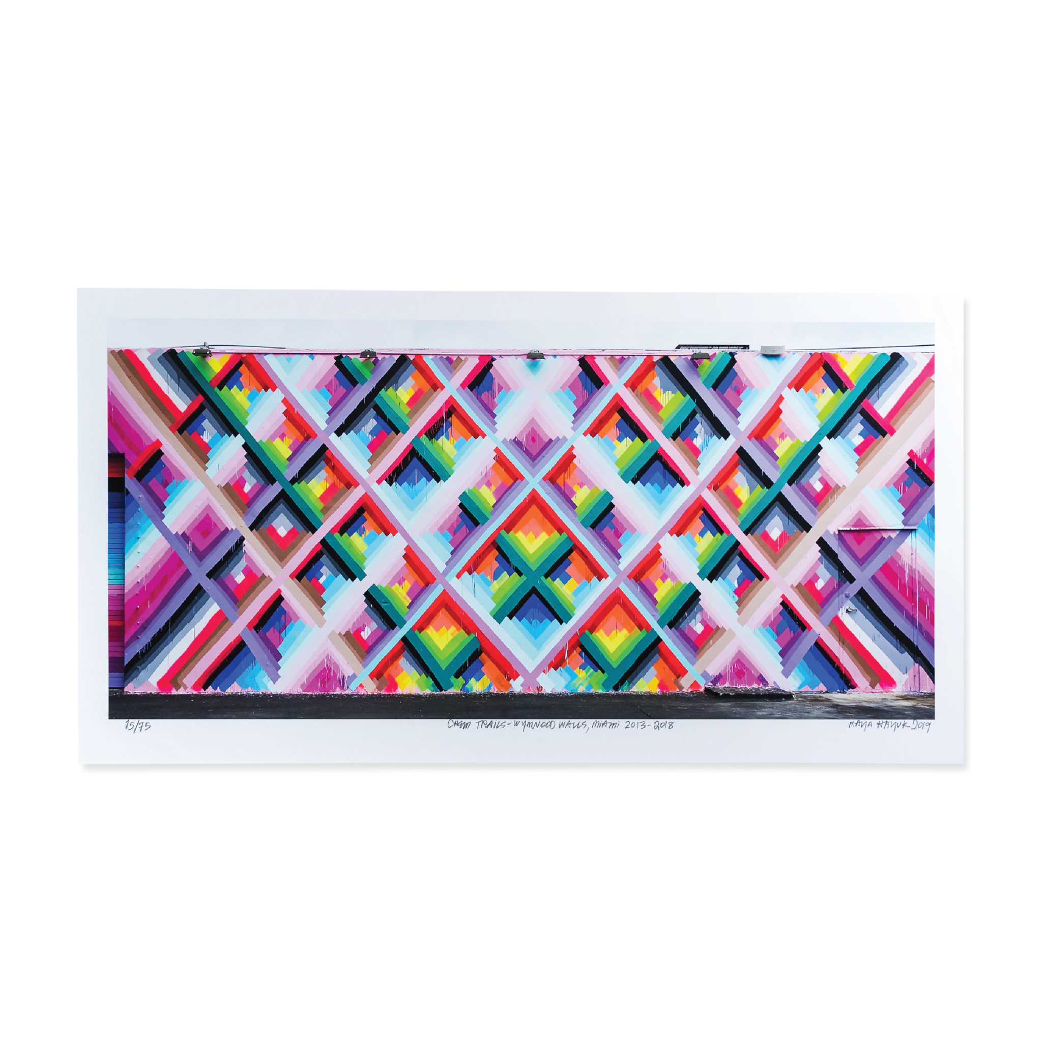 Maya Hayuk x Wynwood Walls 10th Year Commemoration Print - Wynwood Walls Shop Main image