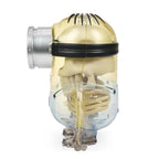 Minions - Skull Anatomy 8" Art Figure