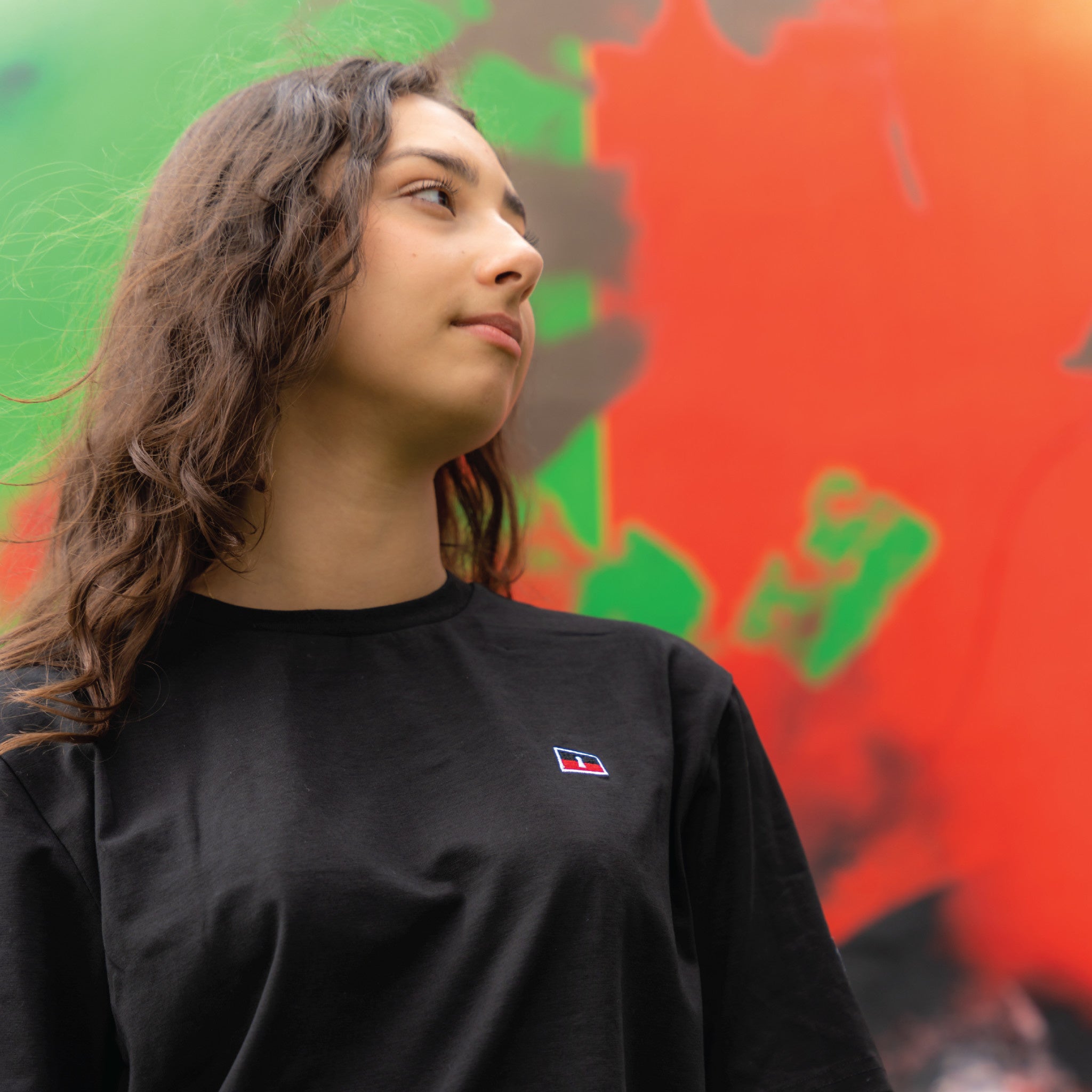 Mist Tee (Black) - Wynwood Walls Shop