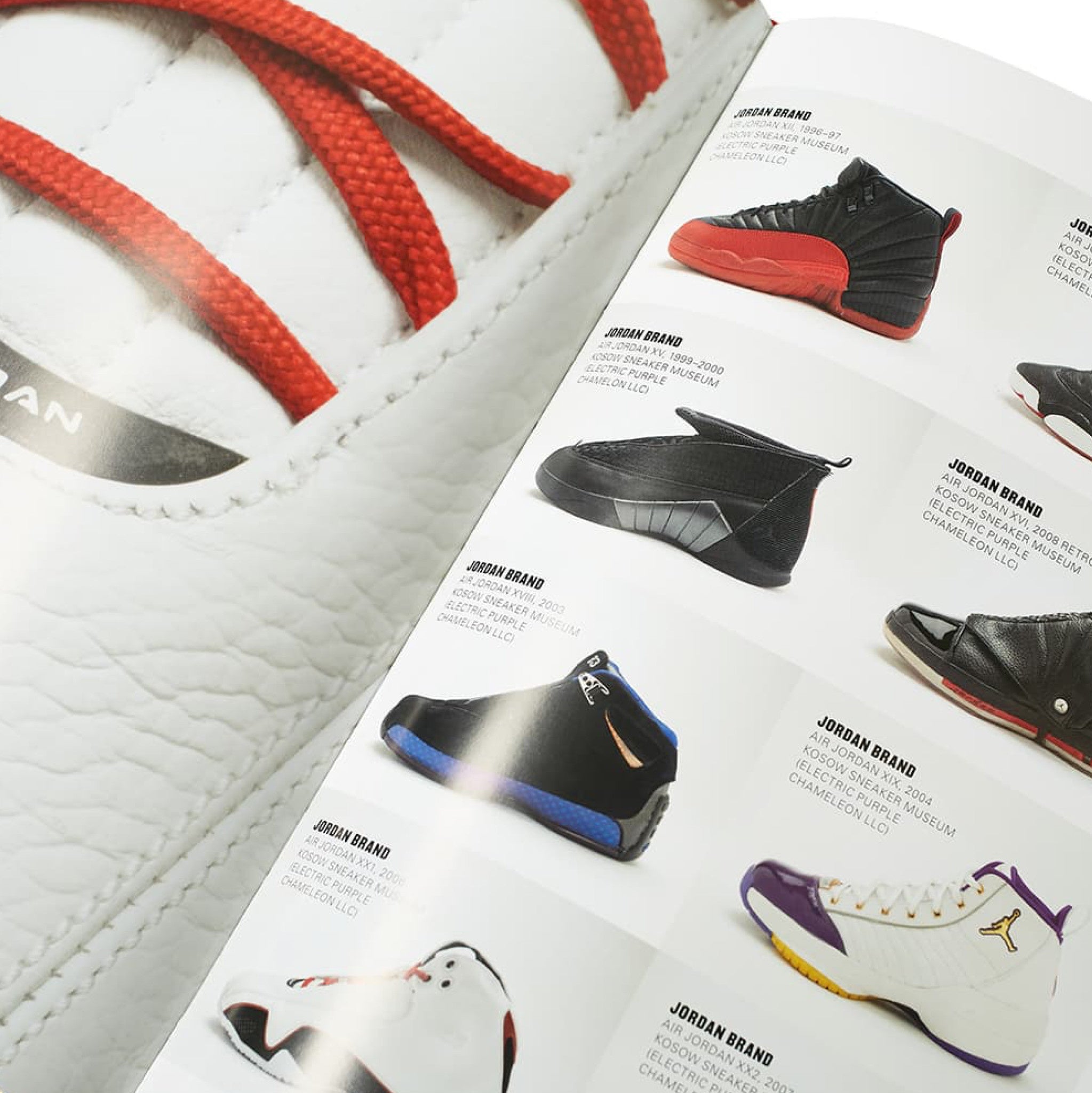 Out of the Box: The Rise of Sneaker Culture – The Wynwood Walls Shop