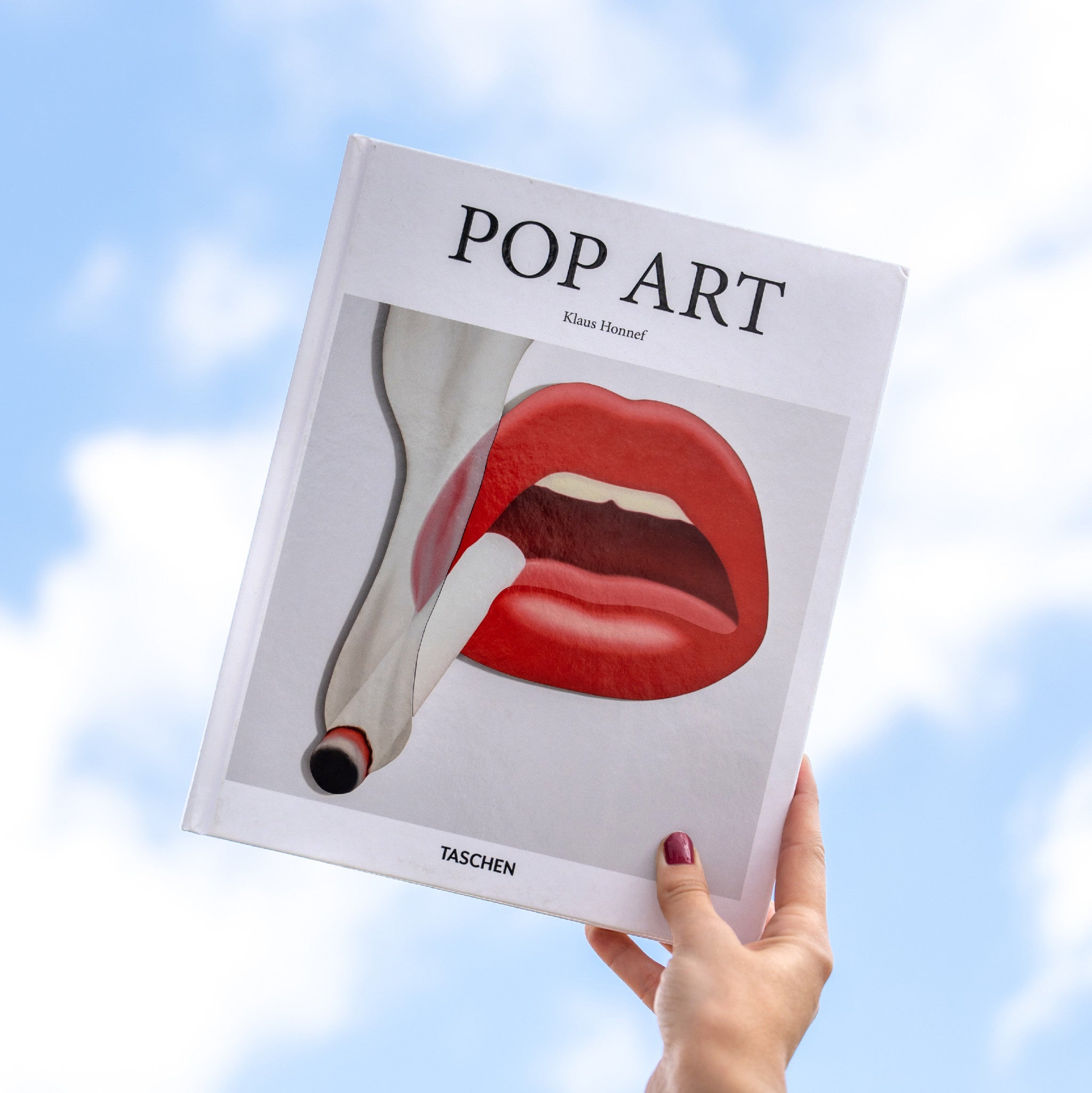 Pop Art - Taschen - Wynwood Walls Shop