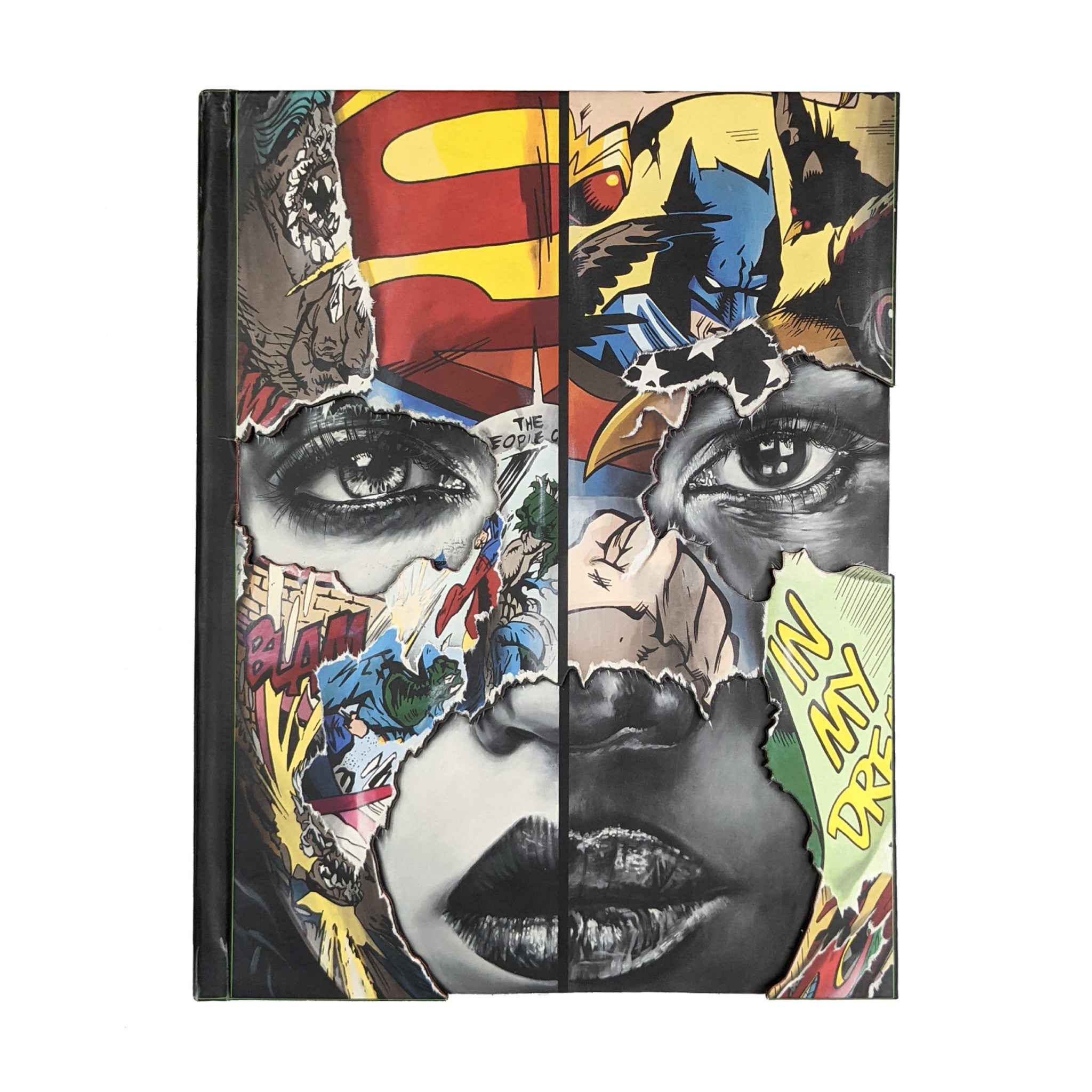 Cages: The Pop Up Book by Sandra Chevrier - Wynwood Walls Shop