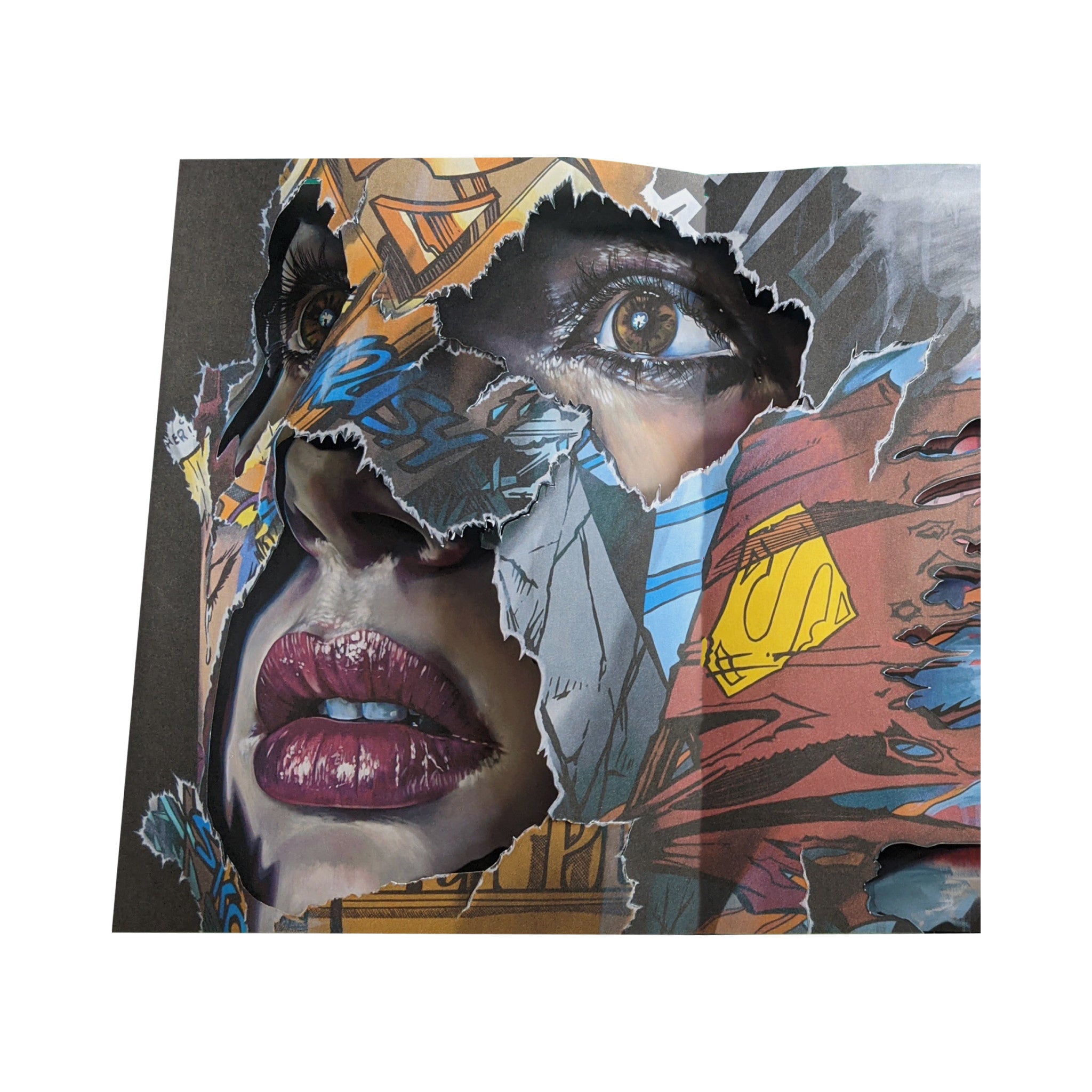 Cages: The Pop Up Book by Sandra Chevrier - Wynwood Walls Shop